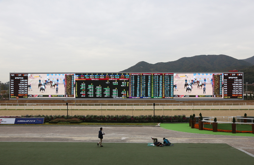 스포츠;경마;과천경마장;경마스크린;비전127