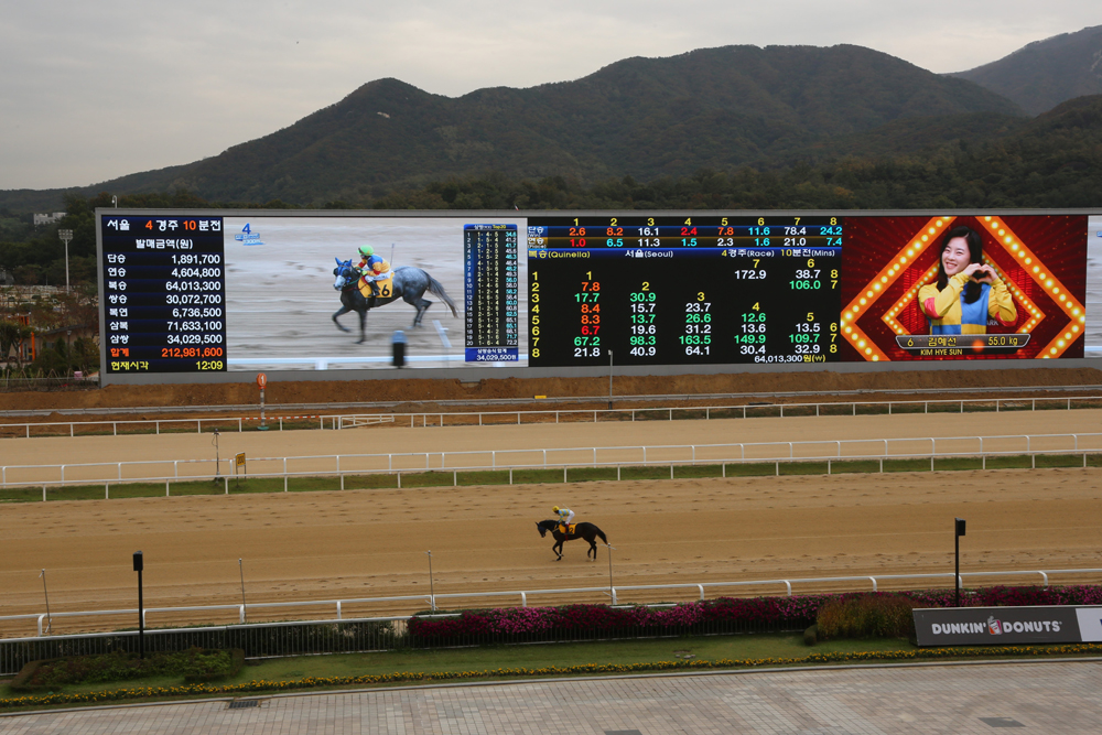 스포츠;경마;과천경마장;경마스크린;비전127