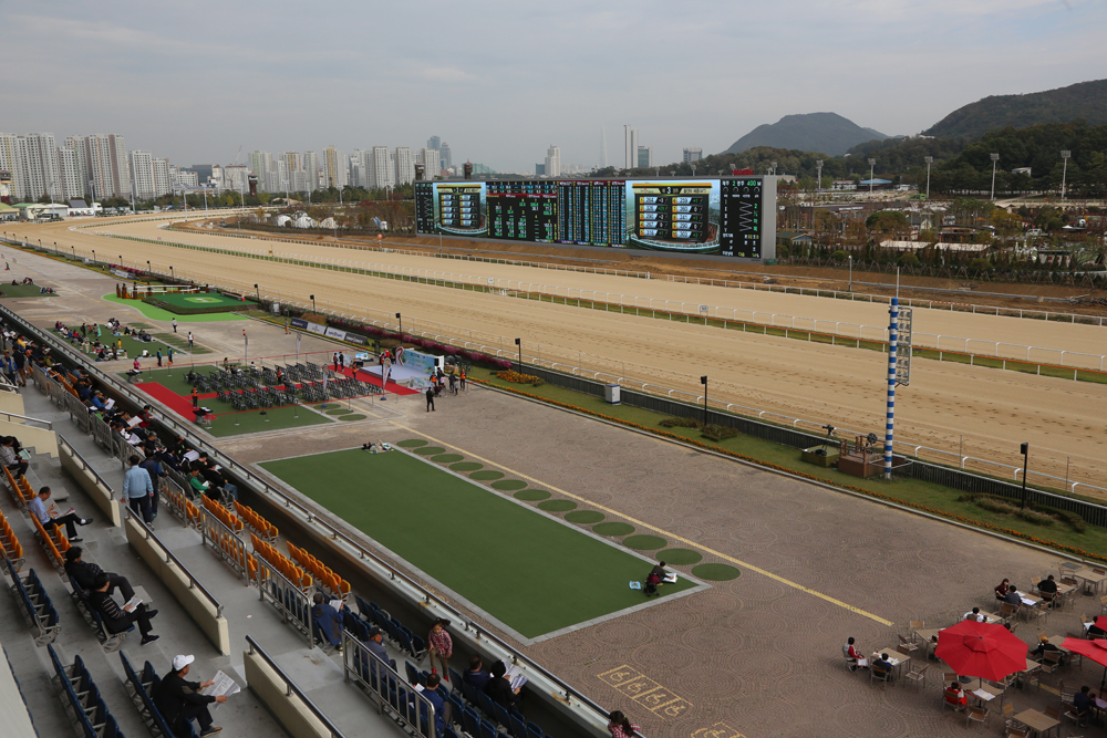 스포츠;경마;과천경마장;경마스크린;비전127