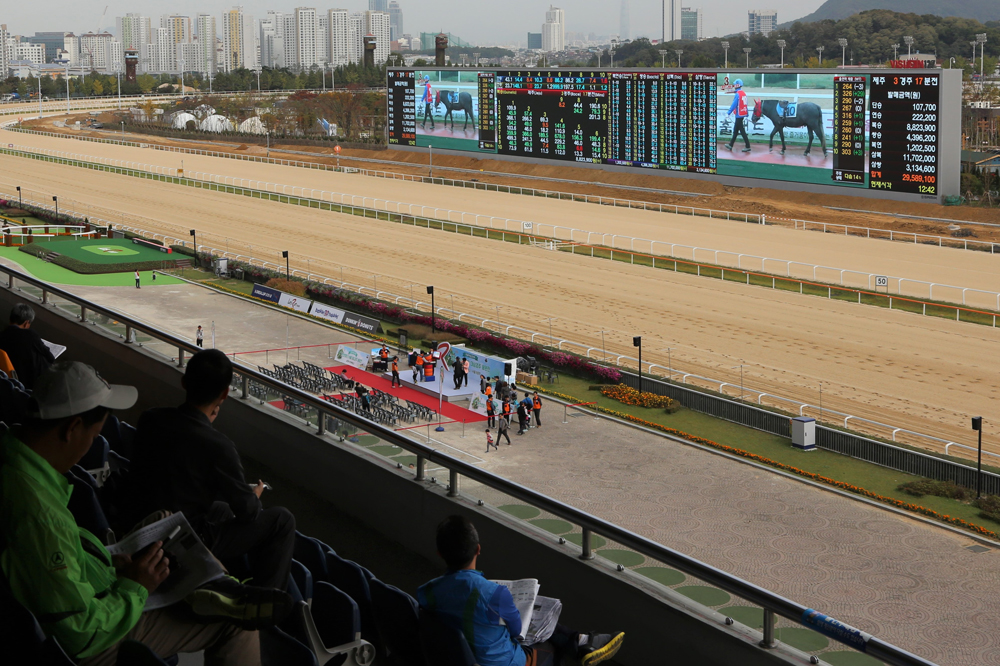 스포츠;경마;과천경마장;경마스크린;비전127