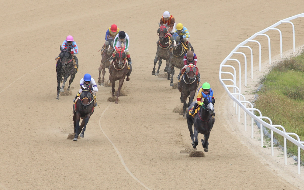 스포츠;경마;과천경마장;경마경기;렛츠런파크서울