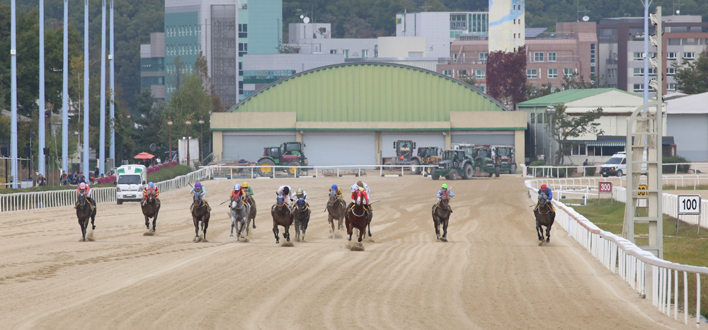 스포츠;경마;과천경마장;경마경기;렛츠런파크서울