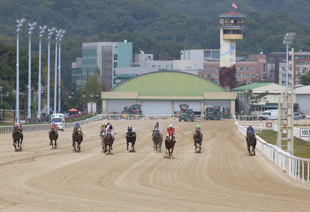 스포츠;경마;과천경마장;경마경기;렛츠런파크서울