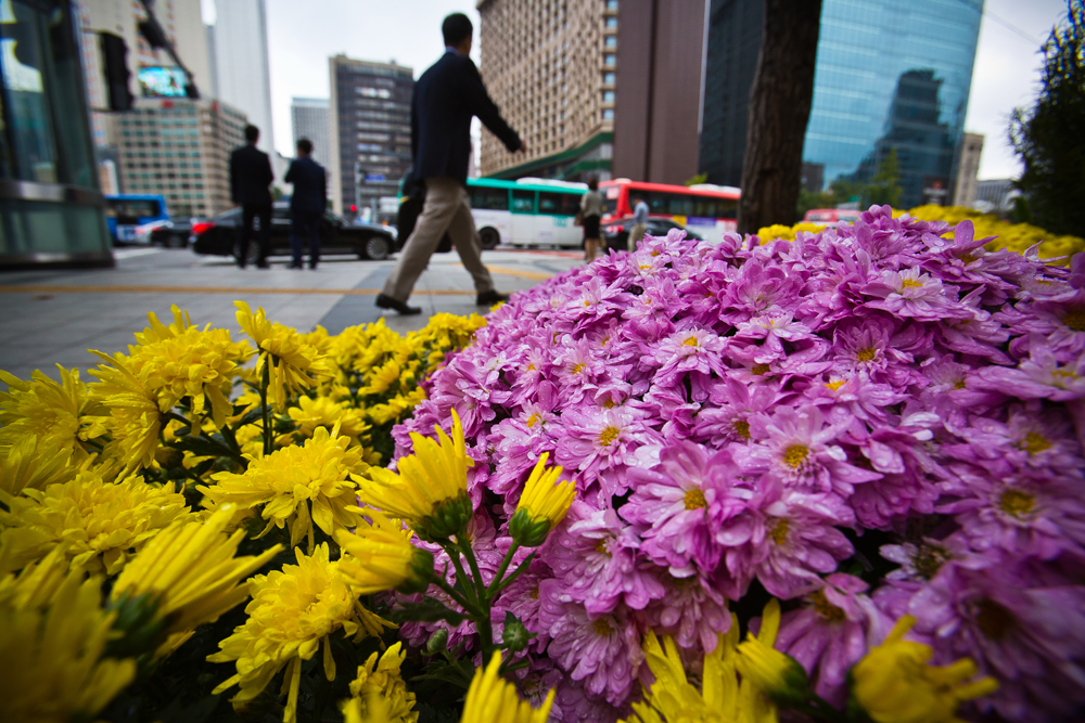 사회/계절/계절스케치/날씨스케치/가을단풍/덕