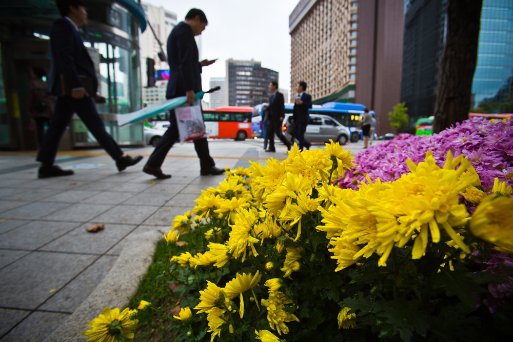 사회/계절/계절스케치/날씨스케치/가을단풍/덕