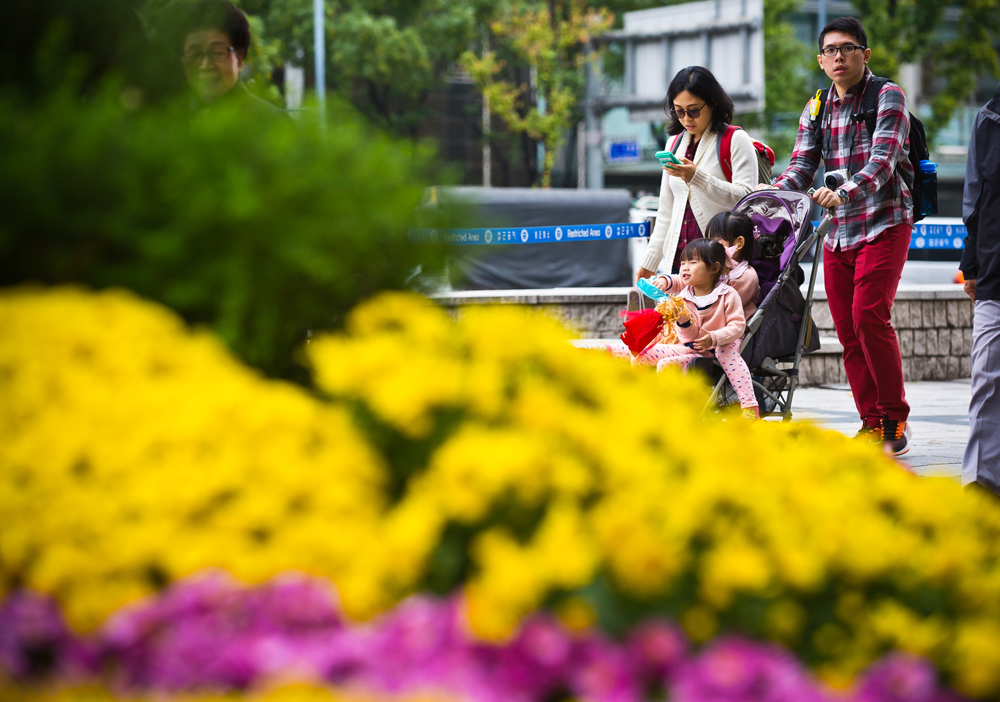 사회/계절/계절스케치/날씨스케치/가을단풍/덕