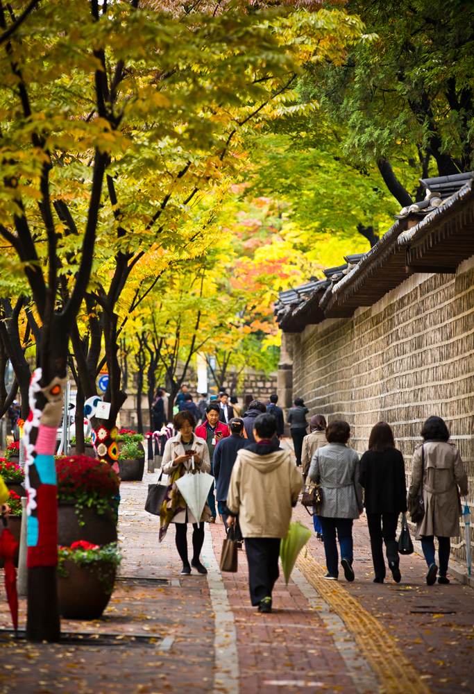사회/계절/계절스케치/날씨스케치/가을단풍/덕