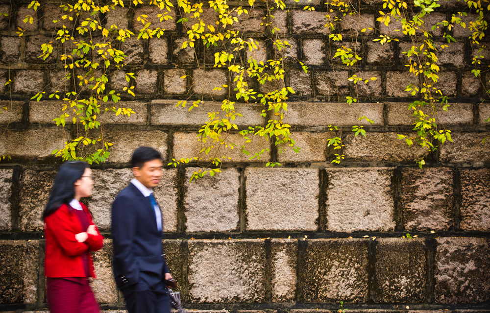 사회/계절/계절스케치/날씨스케치/가을단풍/덕