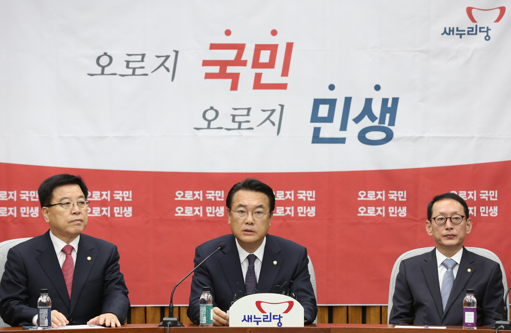 정치;국회;새누리당;정진석