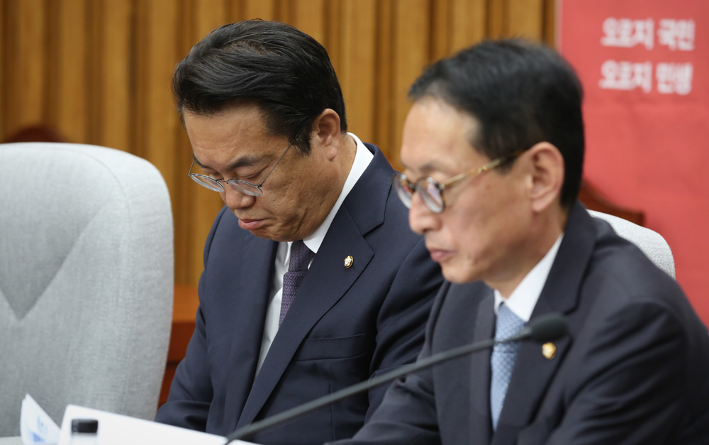 정치;국회;새누리당;정진석