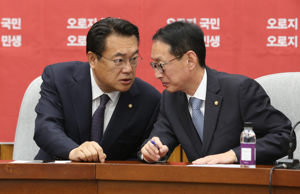 정치;국회;새누리당;정진석;김도읍