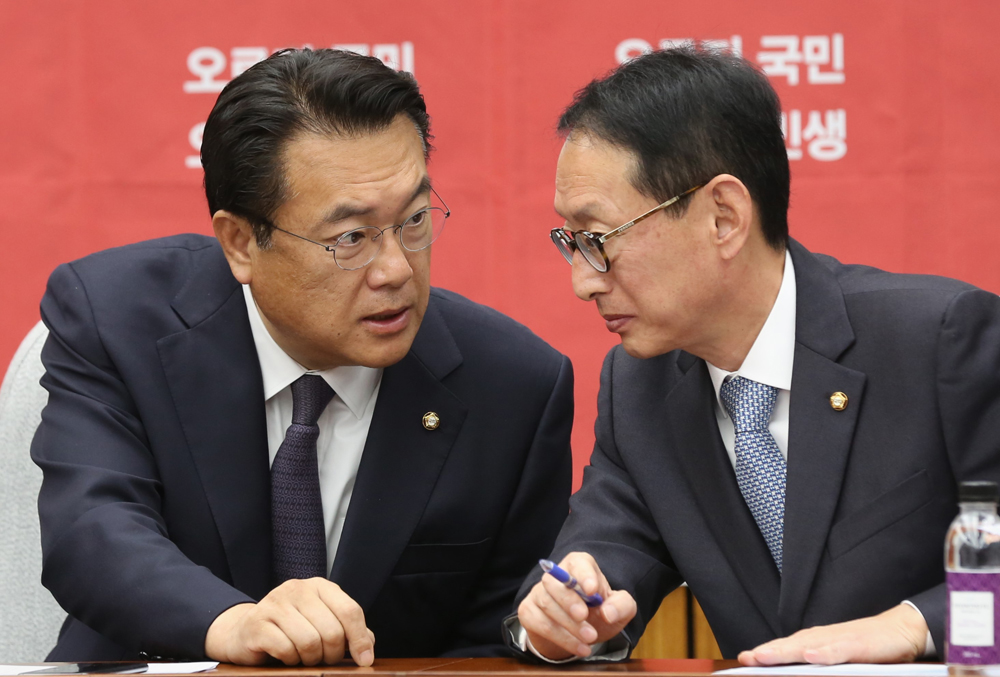 정치;국회;새누리당;정진석;김도읍