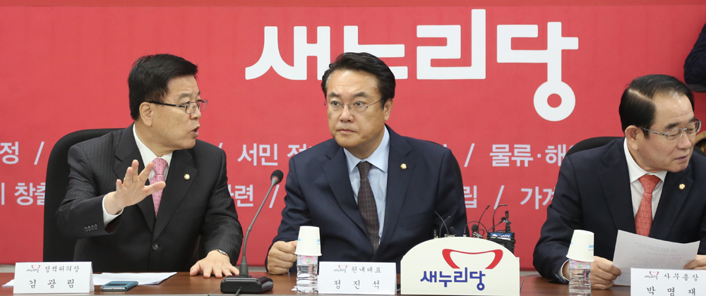 정치;국회;당정협의;새누리당;윤병세;정진석;미대선결과대응방향