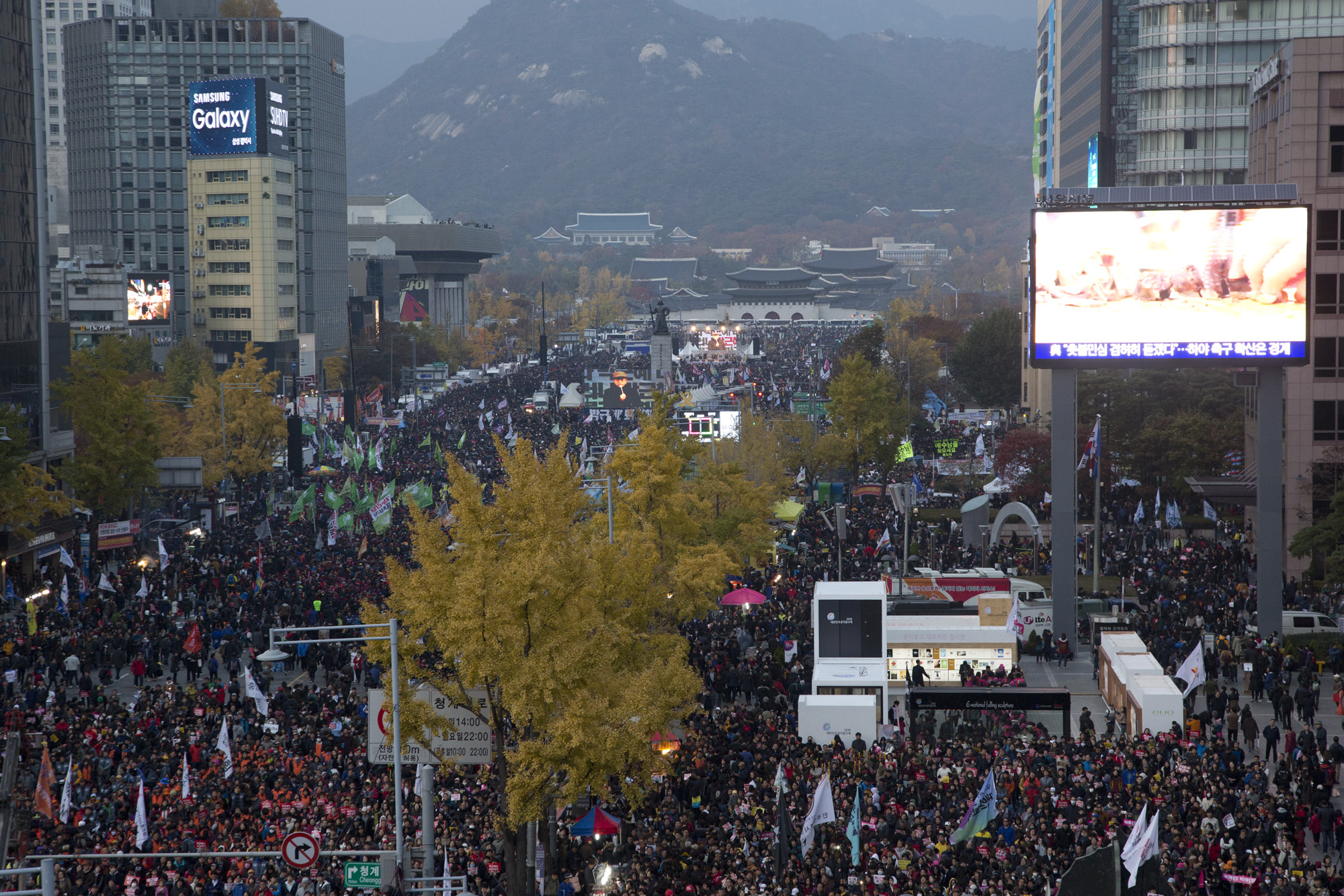 사회;사건;사고;광화문집회;시청광장;시청;잔디광장;민노총;촛물집회;촛불;촛불시위