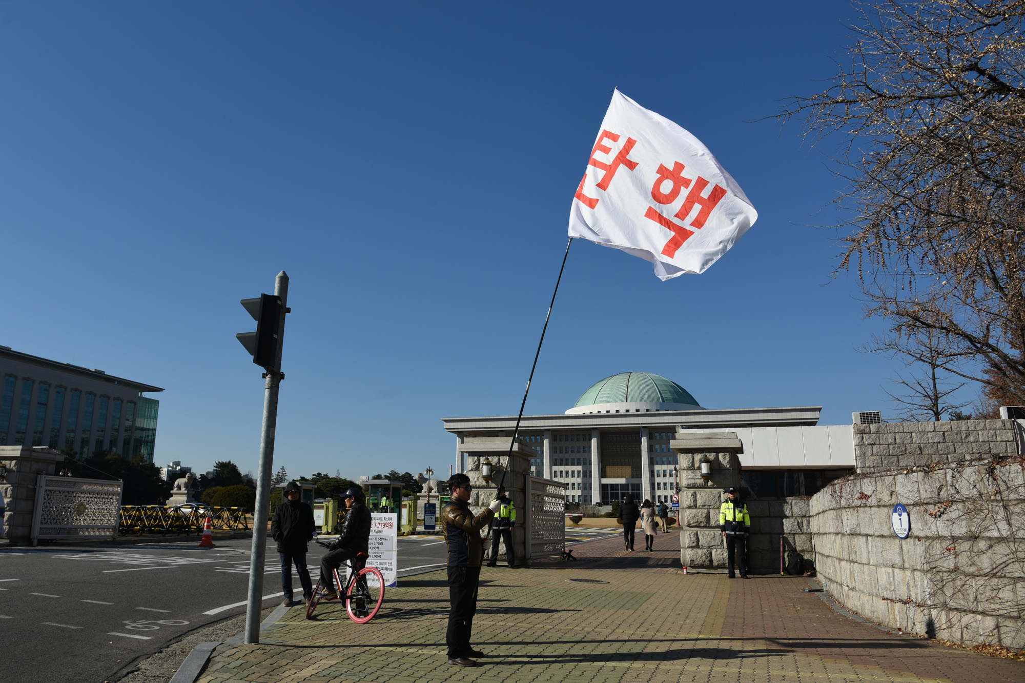 정치;국회;탄핵깃발