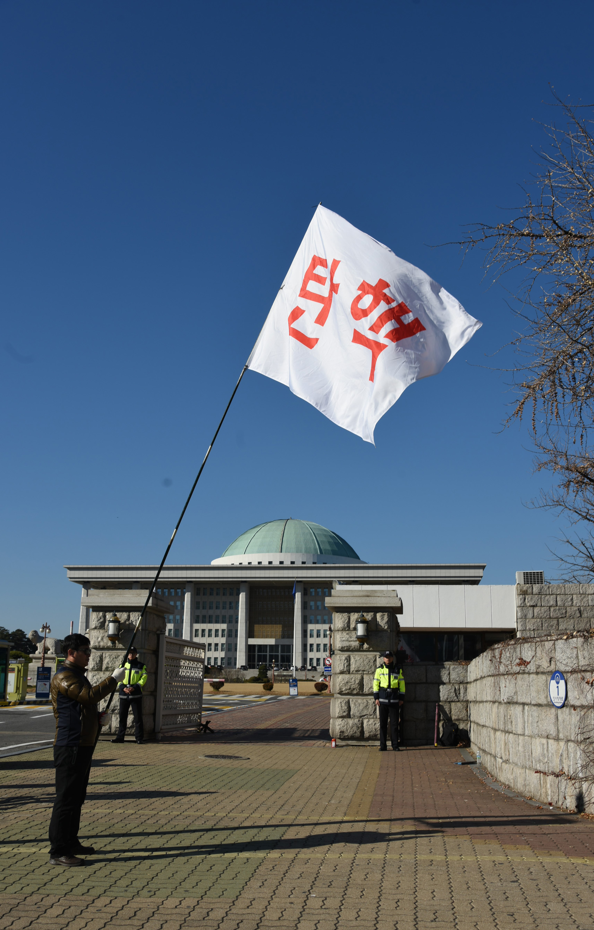 정치;국회;탄핵깃발