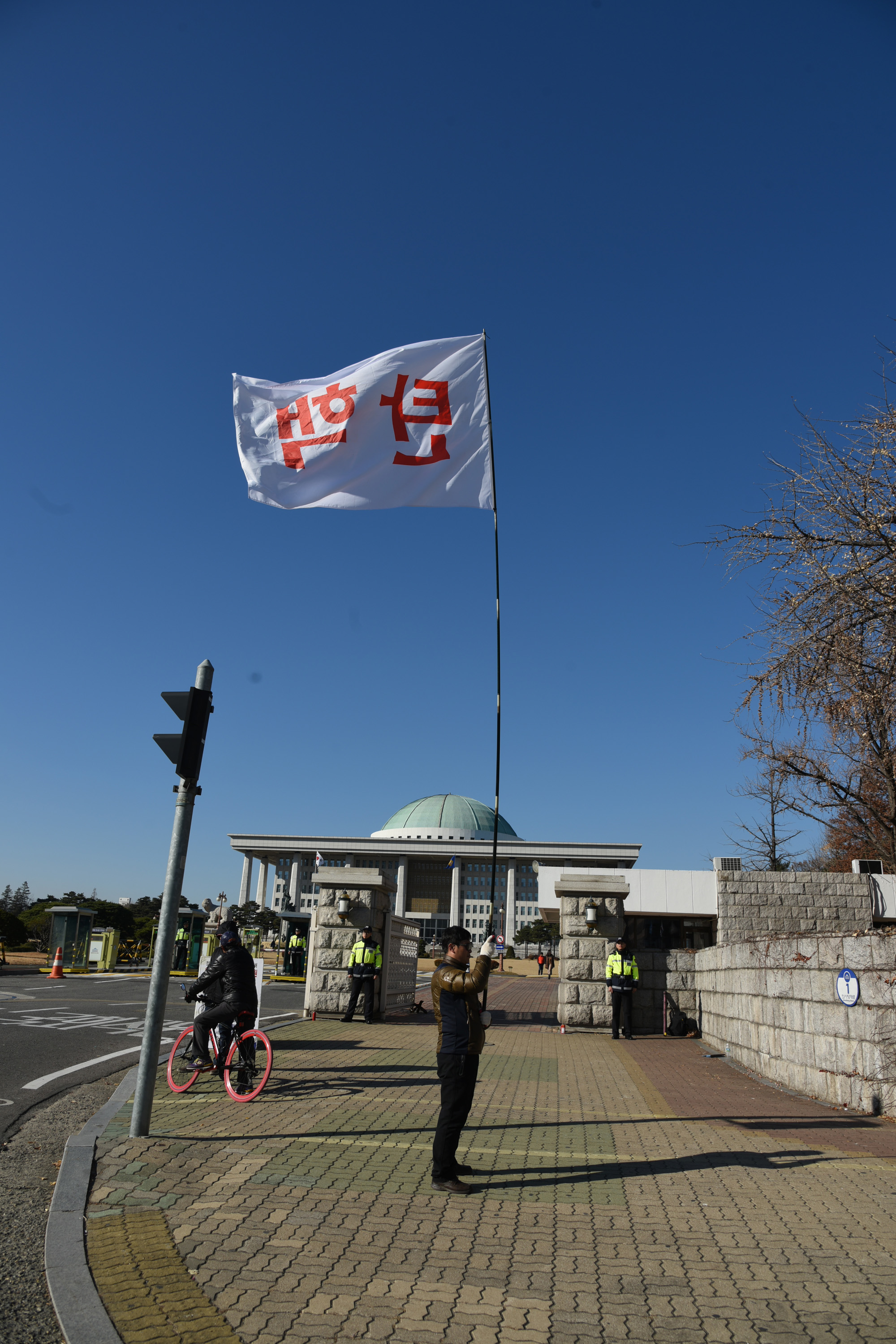 정치;국회;탄핵깃발