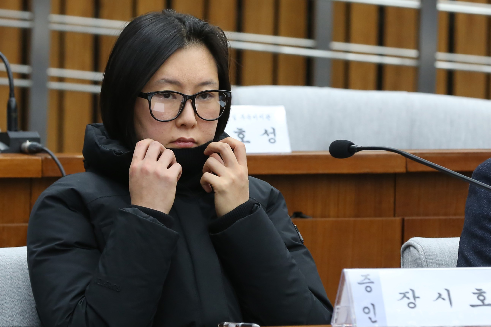 정치;국회;청문회;최순실국조특위