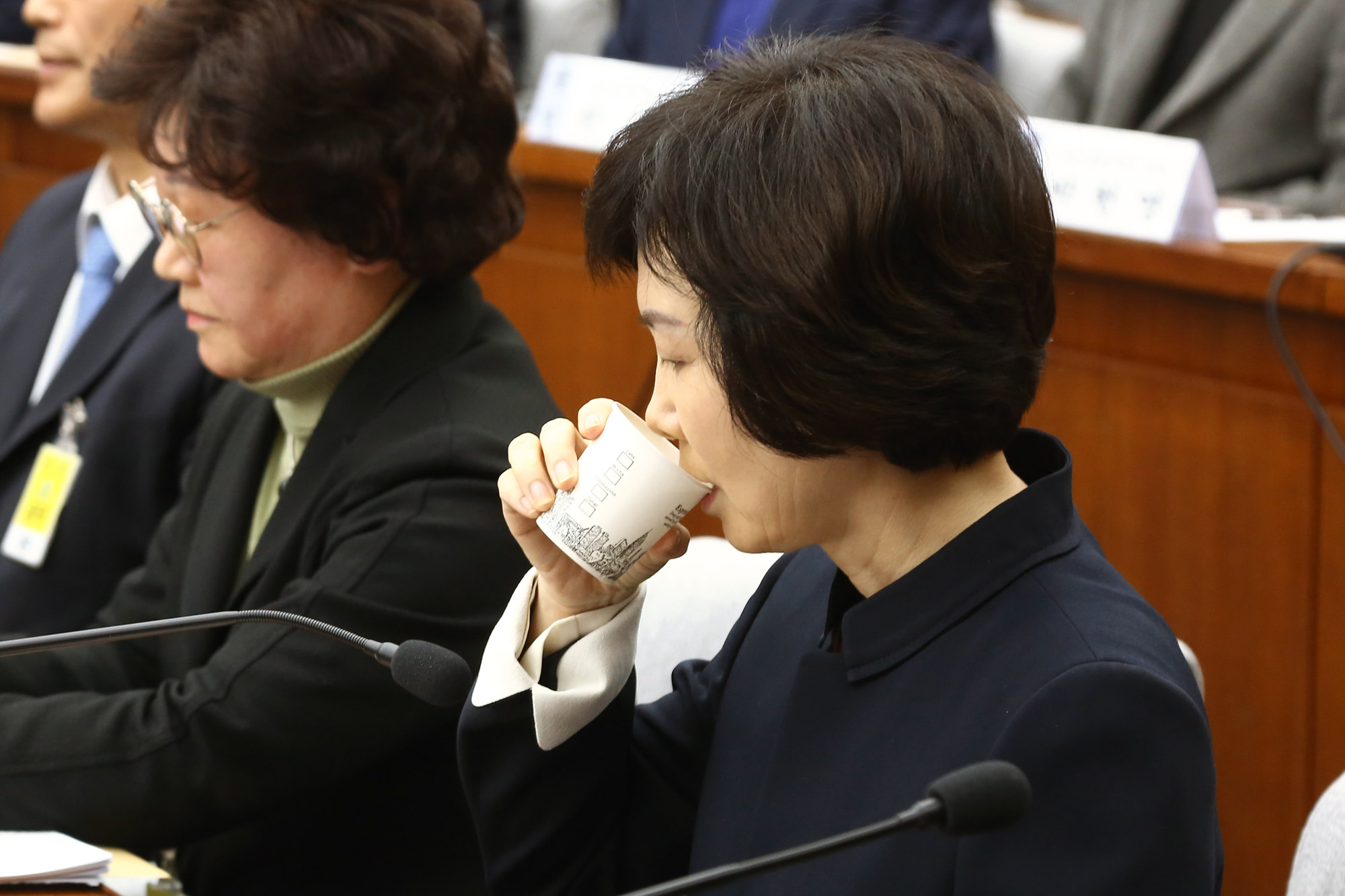 정치;국회;청문회;최순실;박근혜;국정농단;특위;국조특위