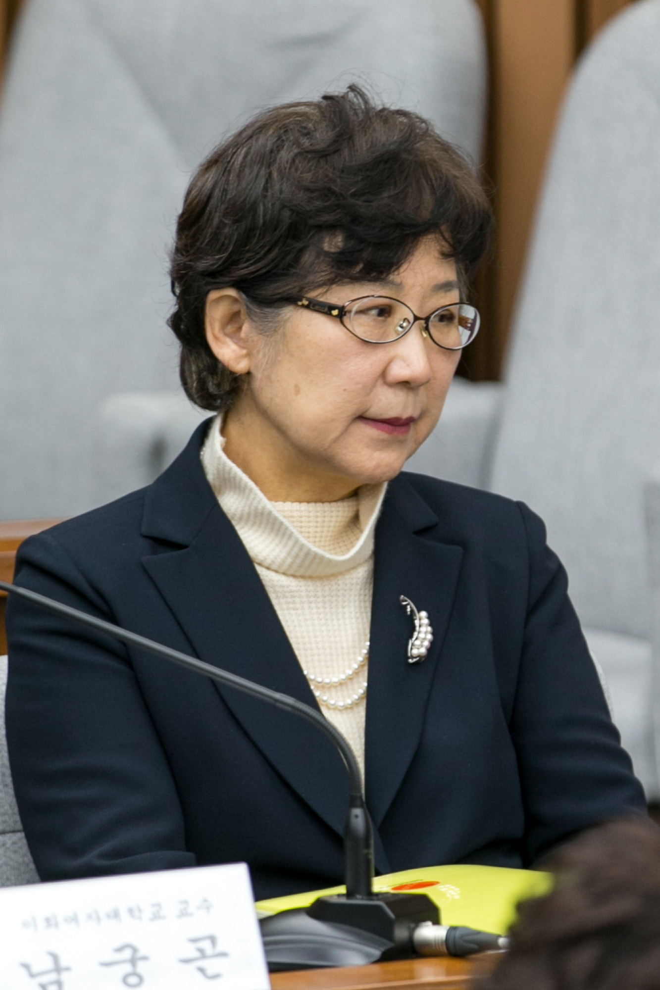 정치;국회;청문회;최순실;박근혜;국정농단;특위;국조특위