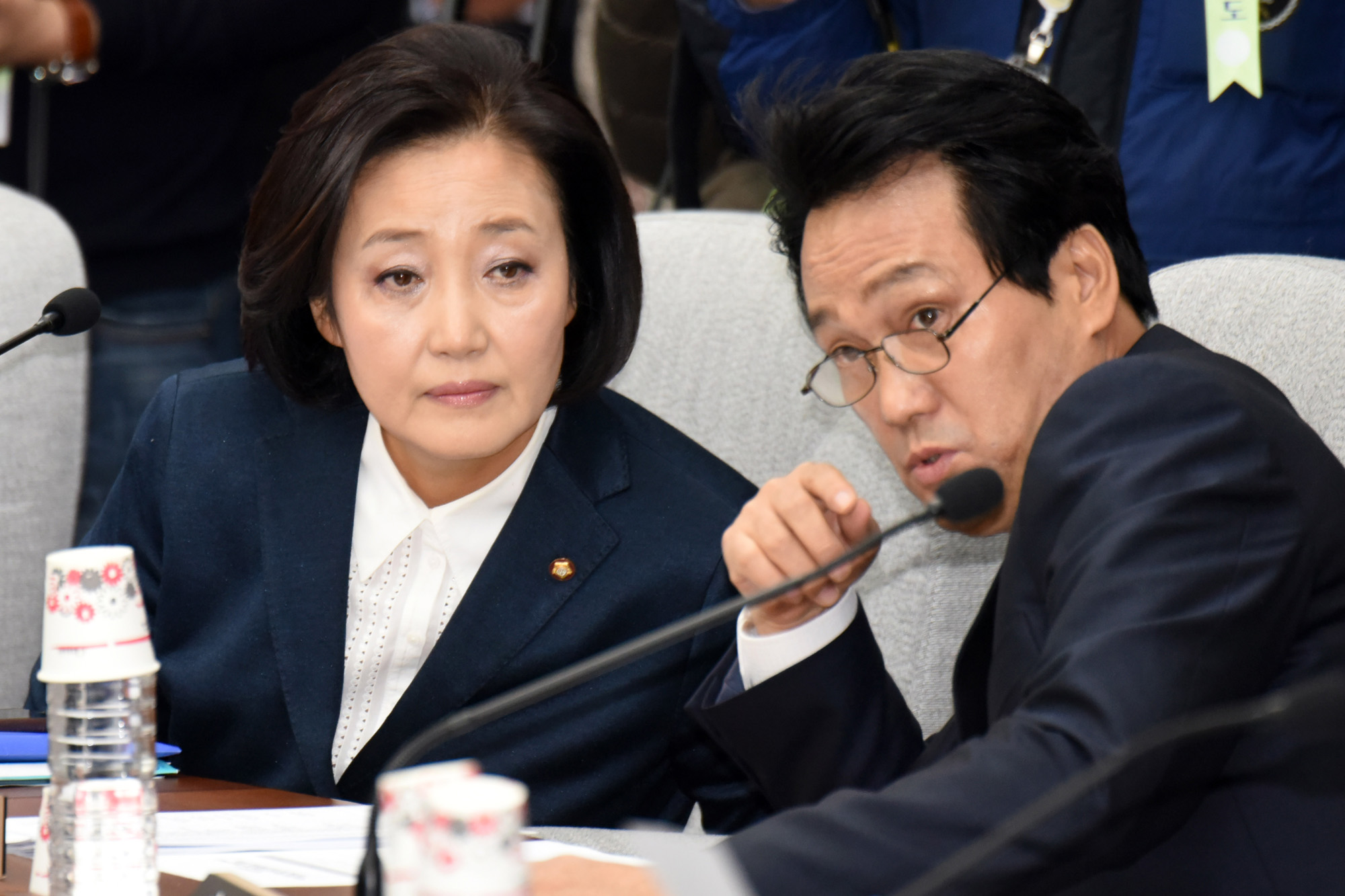 정치;국회;청문회;최순실;박근혜;국정농단;특위;국조특위