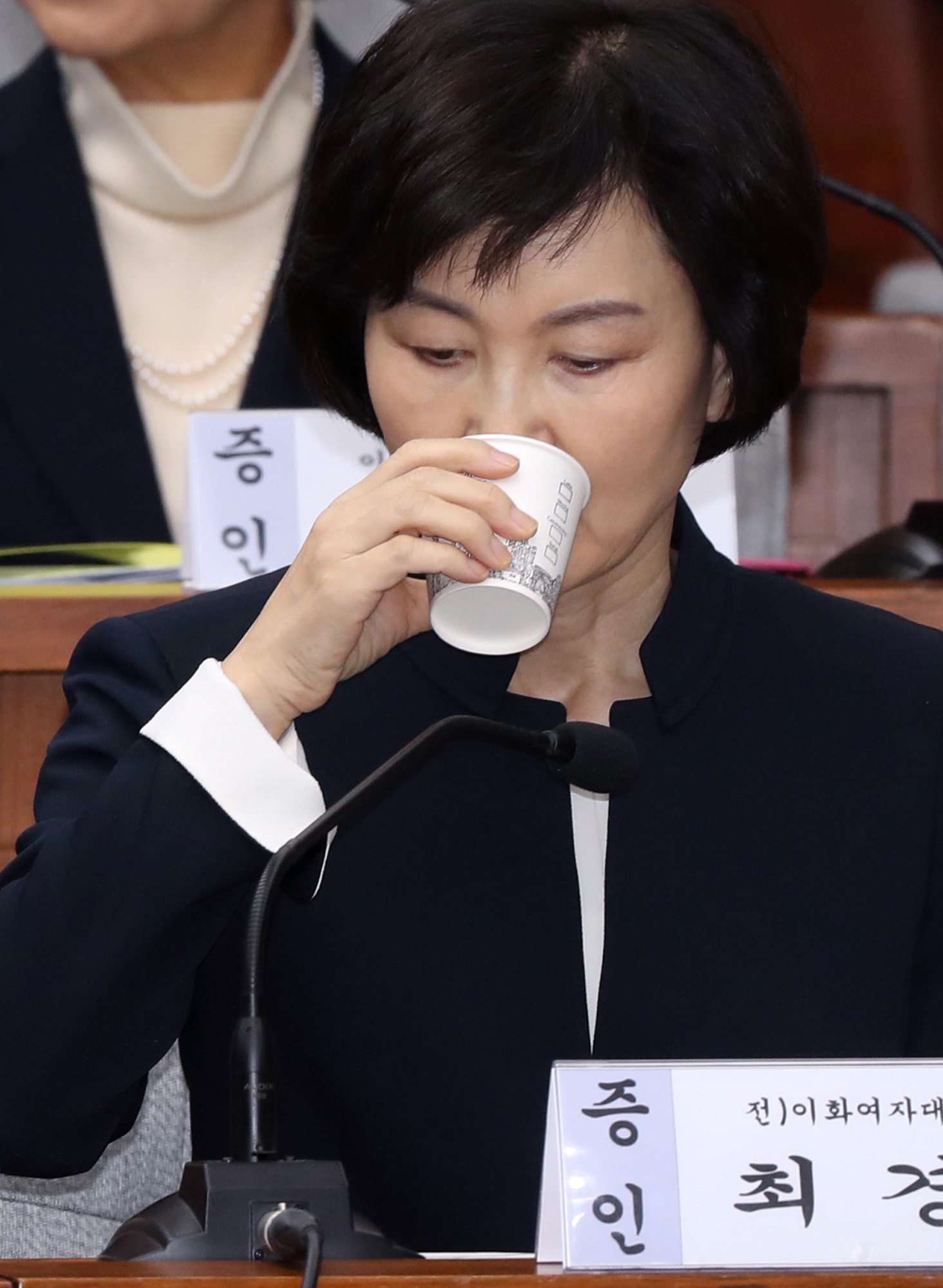 정치;국회;청문회;최순실;박근혜;국정농단;특위;국조특위