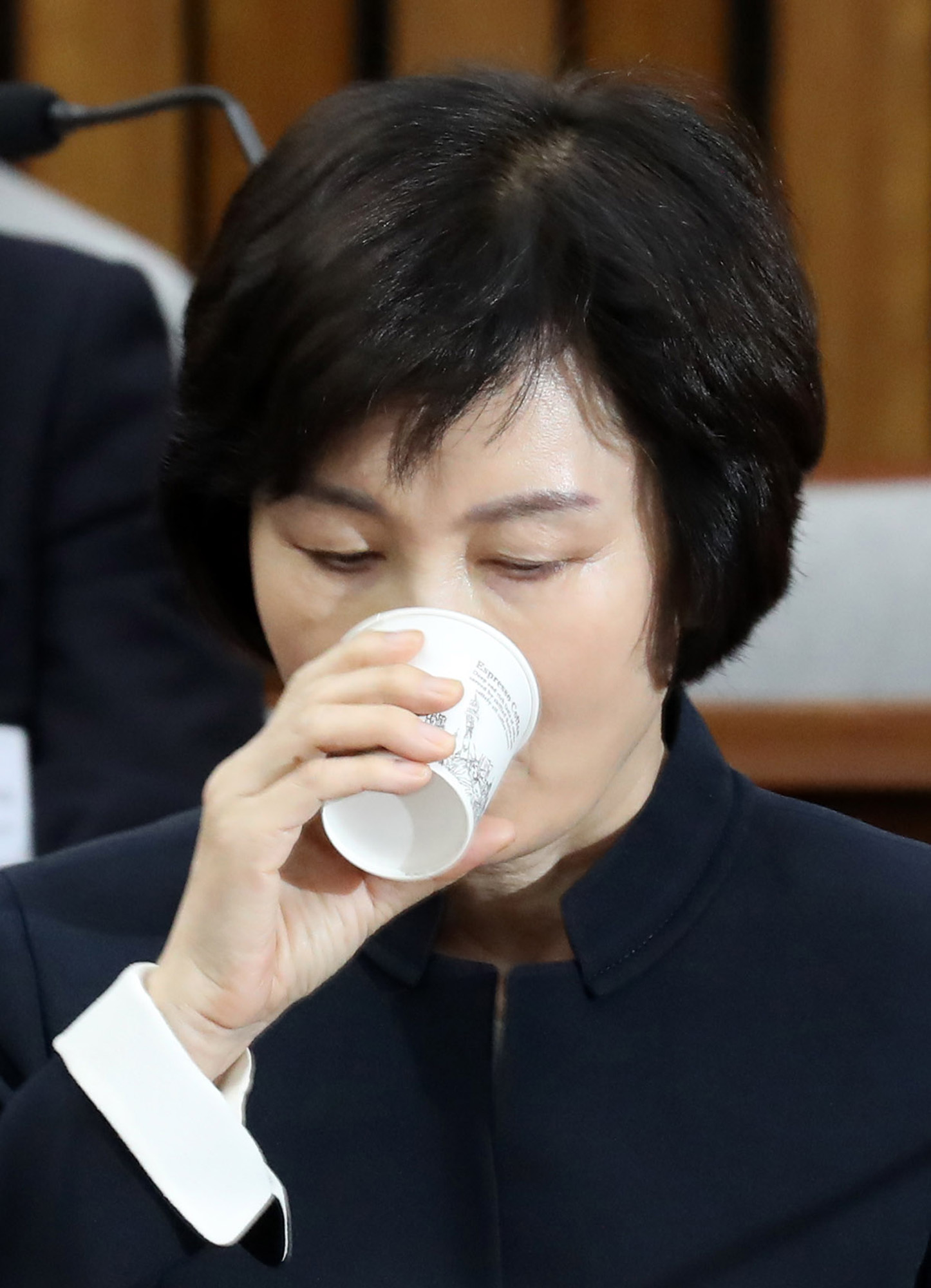 정치;국회;청문회;최순실;박근혜;국정농단;특위;국조특위