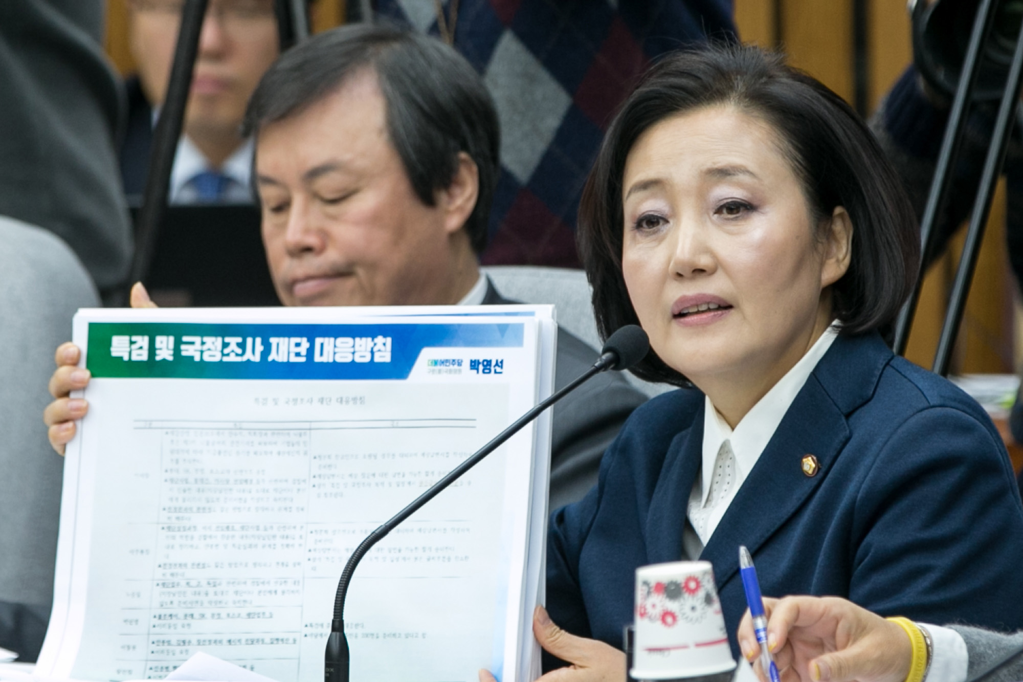 정치;국회;청문회;최순실;박근혜;국정농단;특위;국조특위