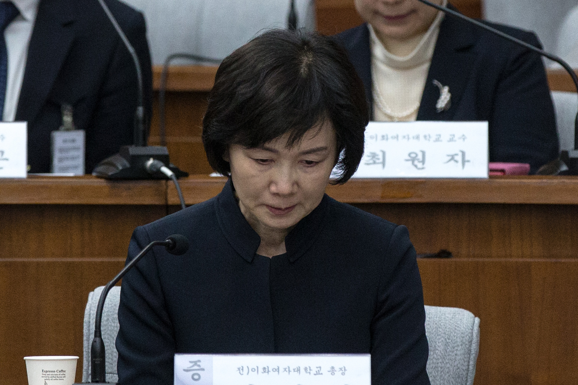 정치;국회;청문회;최순실;박근혜;국정농단;특위;국조특위