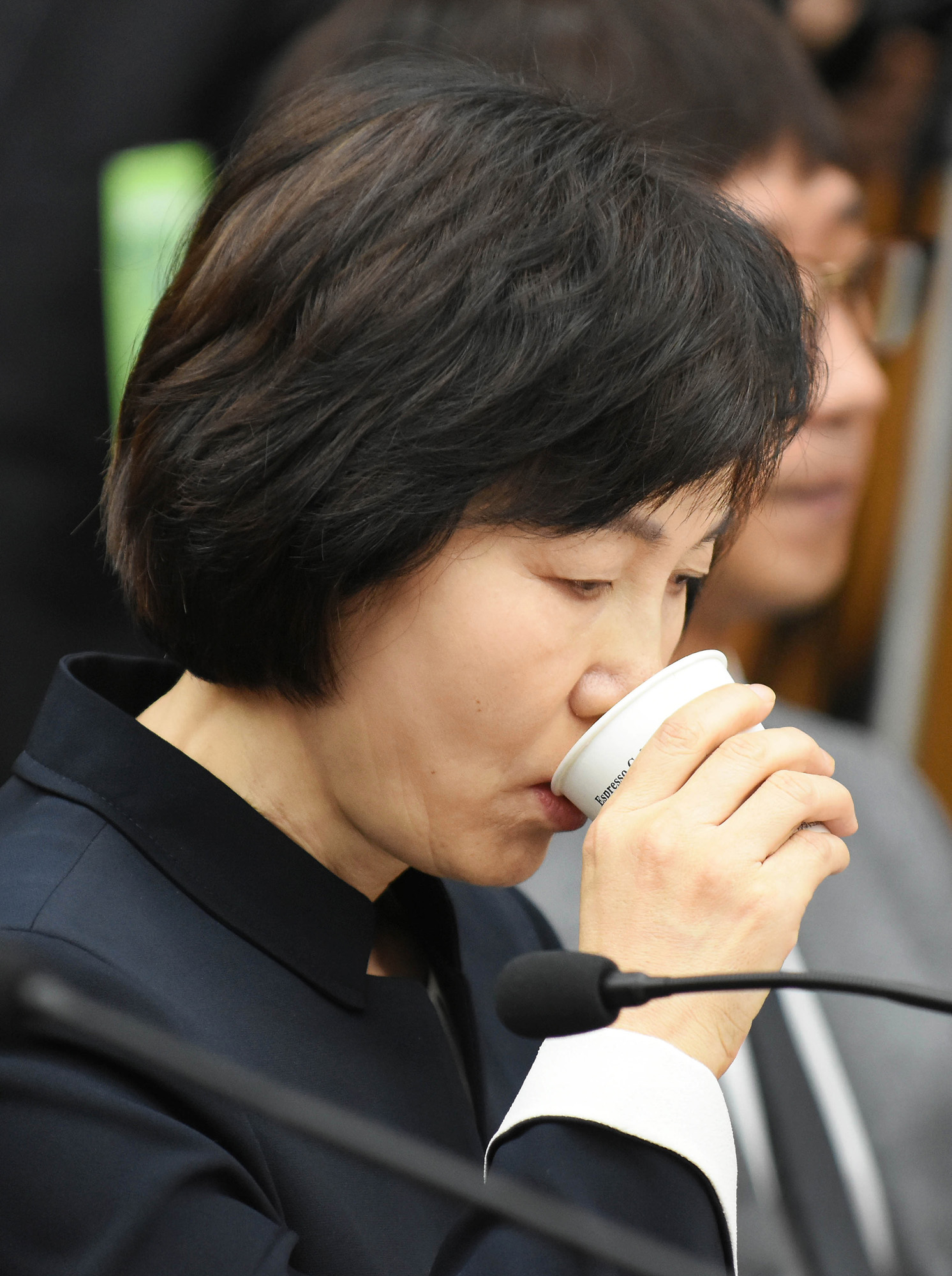 정치;국회;청문회;최순실;박근혜;국정농단;특위;국조특위