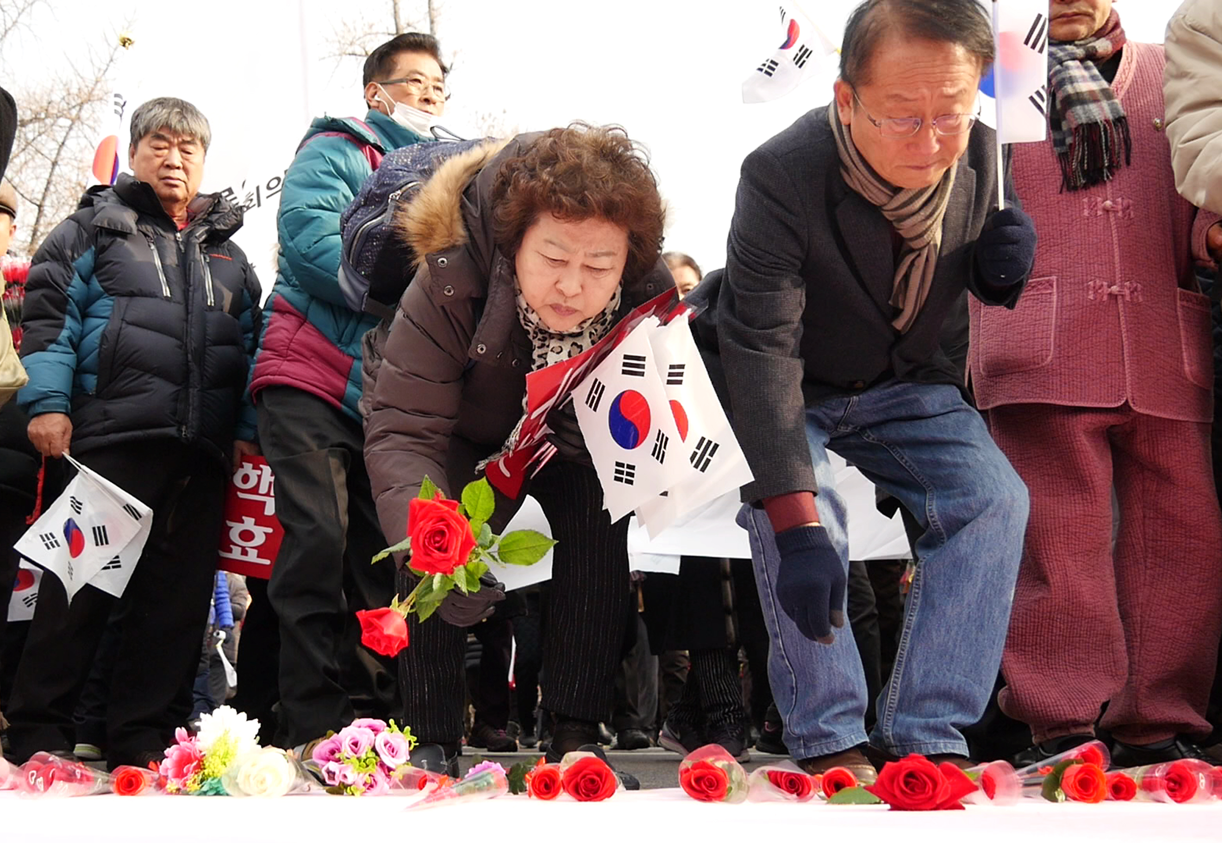박사모;보수집회;헌법재판소;헌재;장미;장미꽃;탄핵반대집회