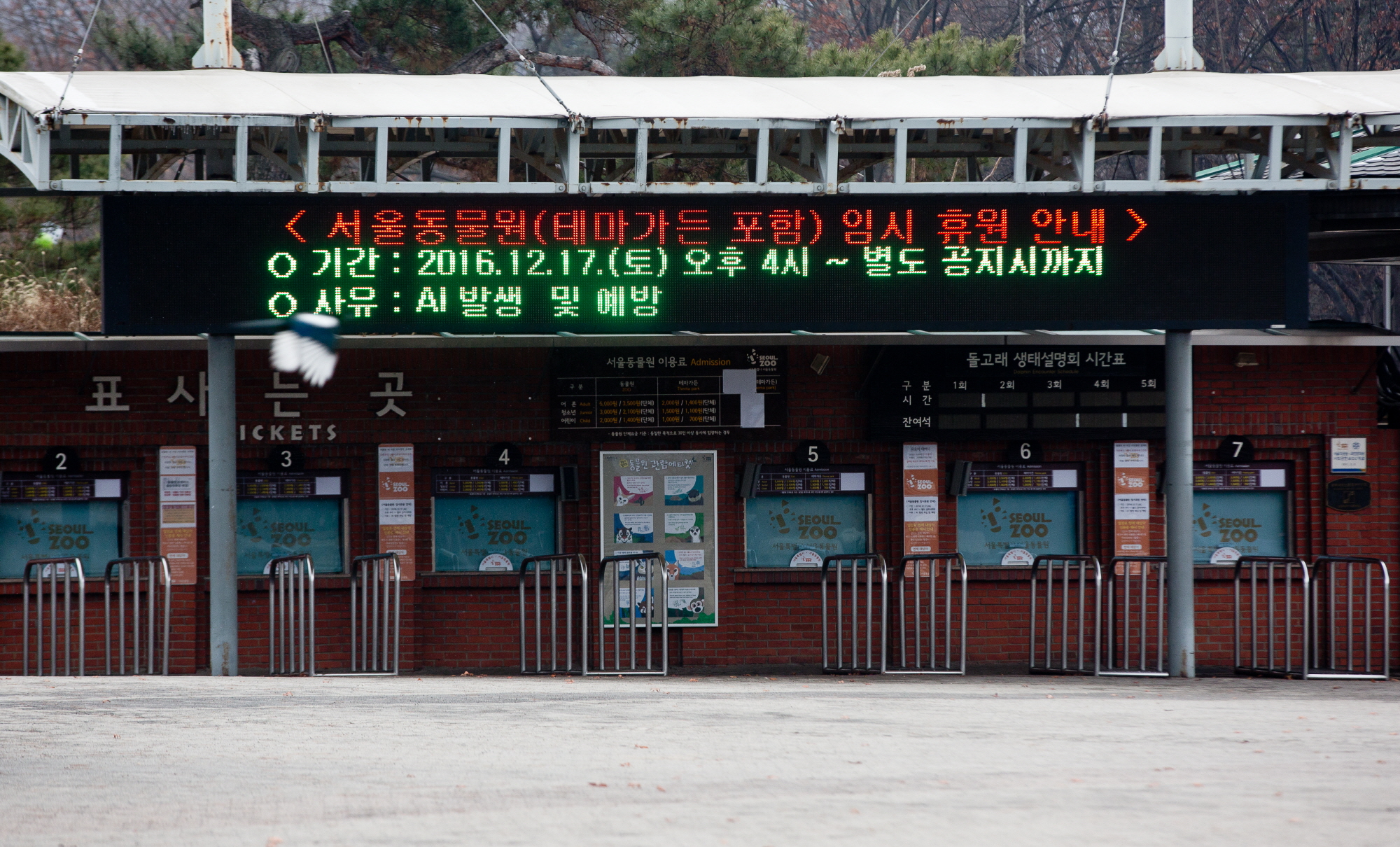 서울대공원;AI서울대공원;서울대공원동물원휴원;AI동물원;AI;서울대공원 동물원