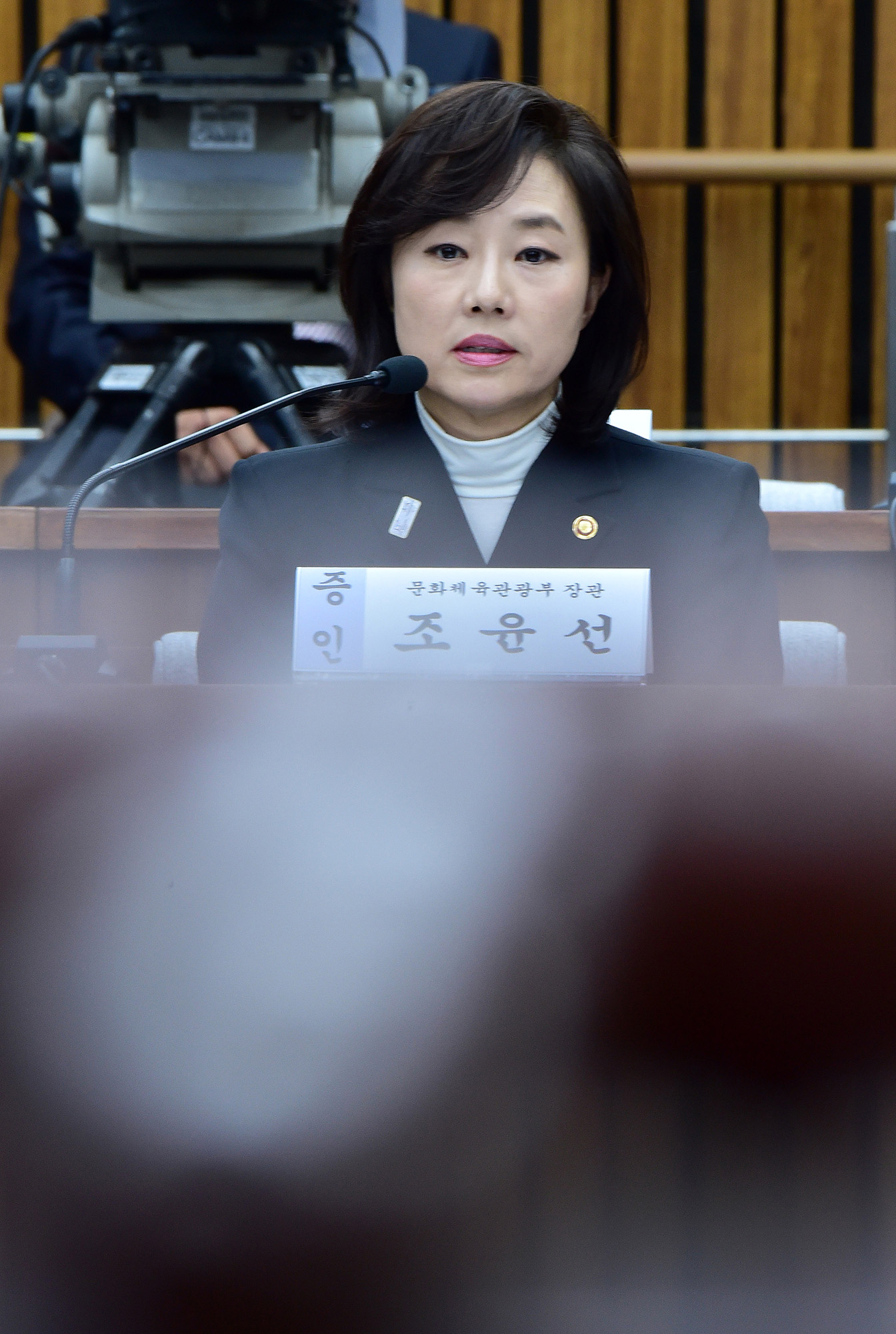 최순실게이트;국회;국정조사;7차청문회;정동춘;남궁곤;노승일;조윤선