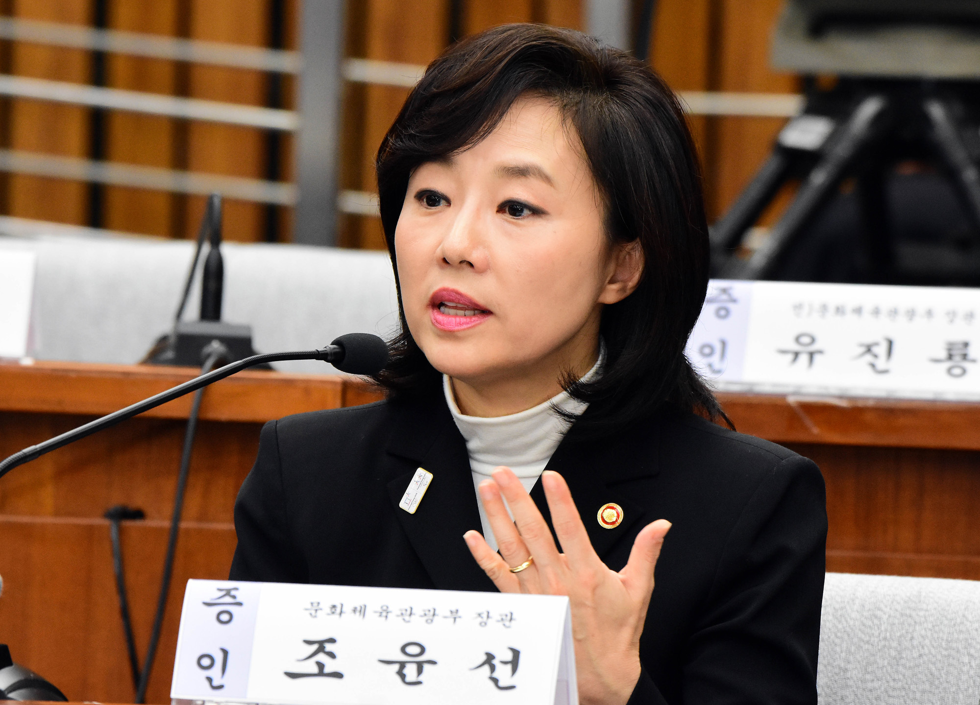 최순실게이트;국회;국정조사;7차청문회;정동춘;남궁곤;노승일;조윤선
