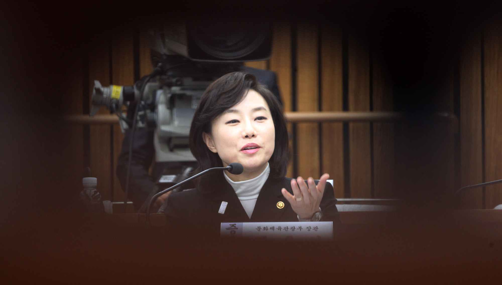 최순실게이트;국회;국정조사;7차청문회;정동춘;남궁곤;노승일;조윤선