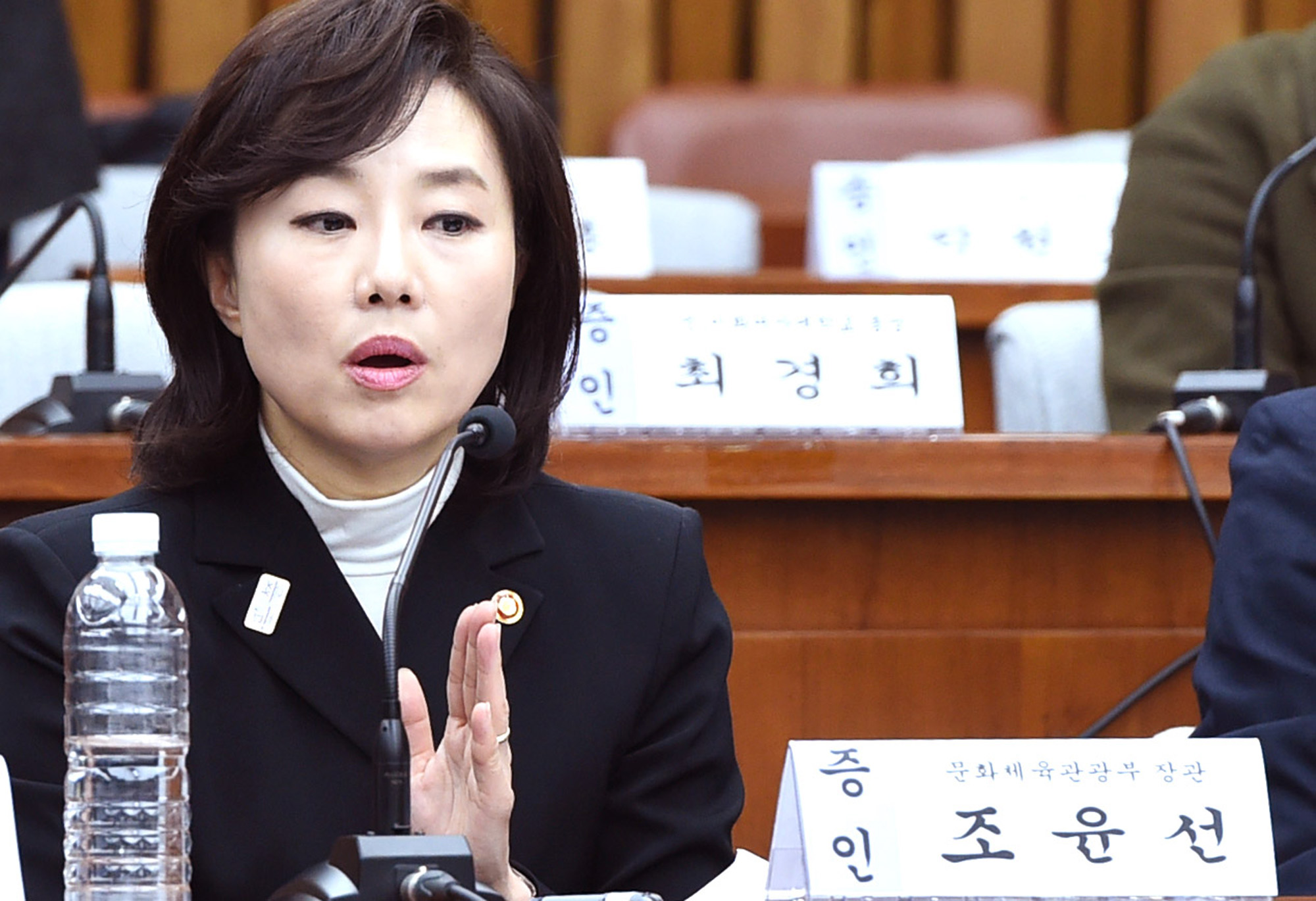 최순실게이트;국회;국정조사;7차청문회;정동춘;남궁곤;노승일;조윤선