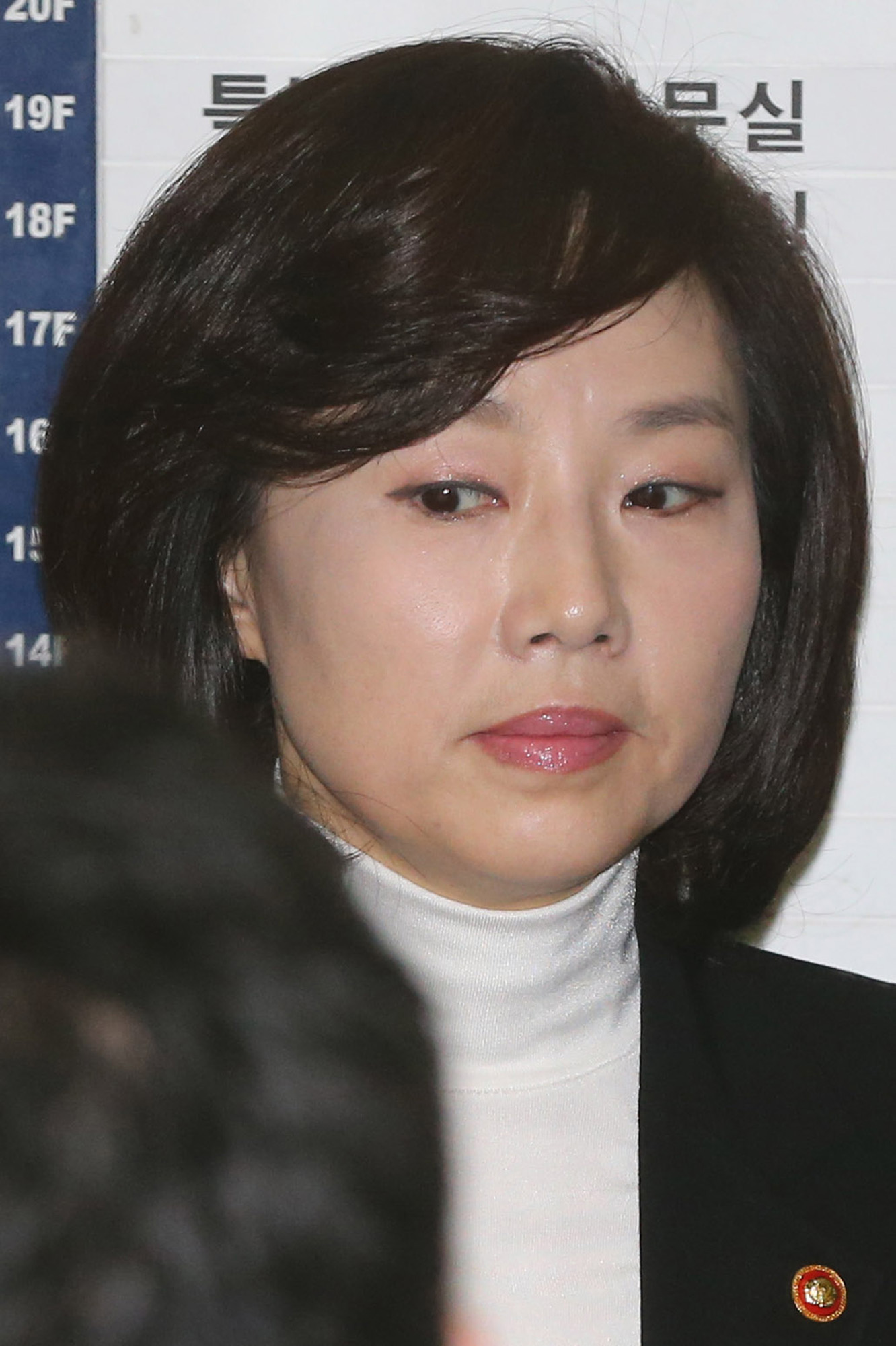 정치/법조/사건사고/최순실국정농단/박근혜정부