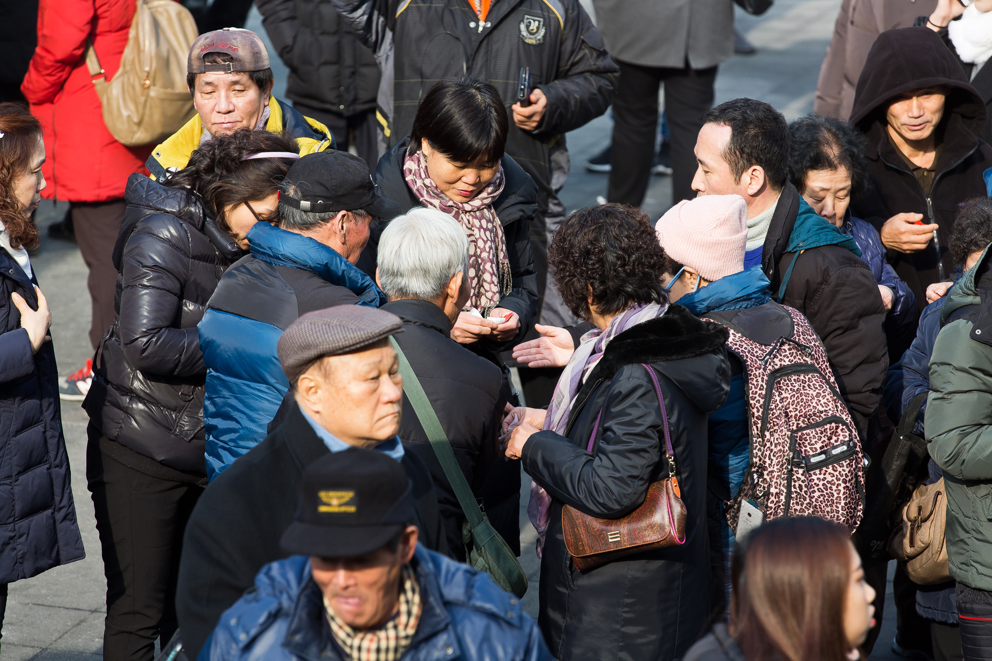 사회/르포/탐사보도/탈북자난민/탈북자동원/국