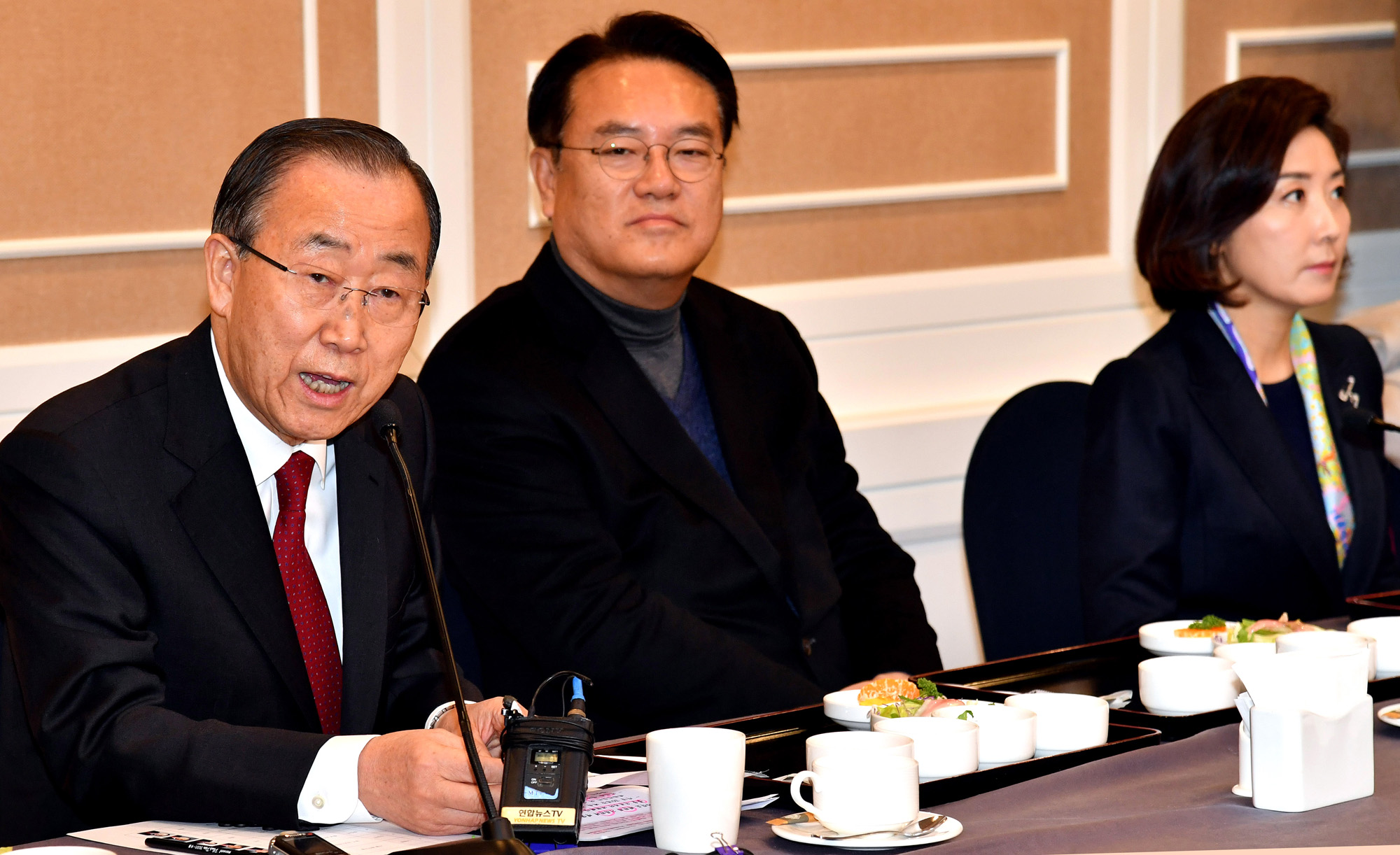 정치;국회;새누리당초청간담회;반기문