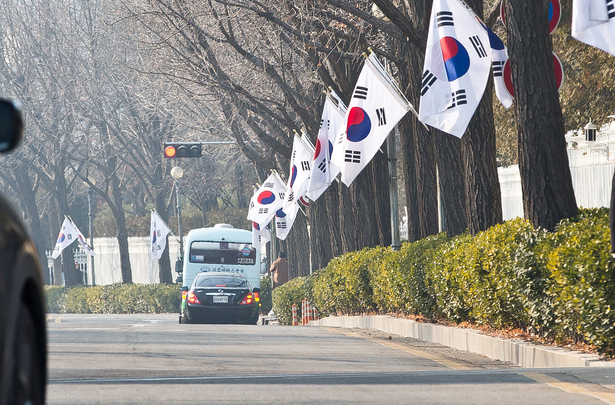 정치/법조/사건사고/최순실국정농단/박근혜정부