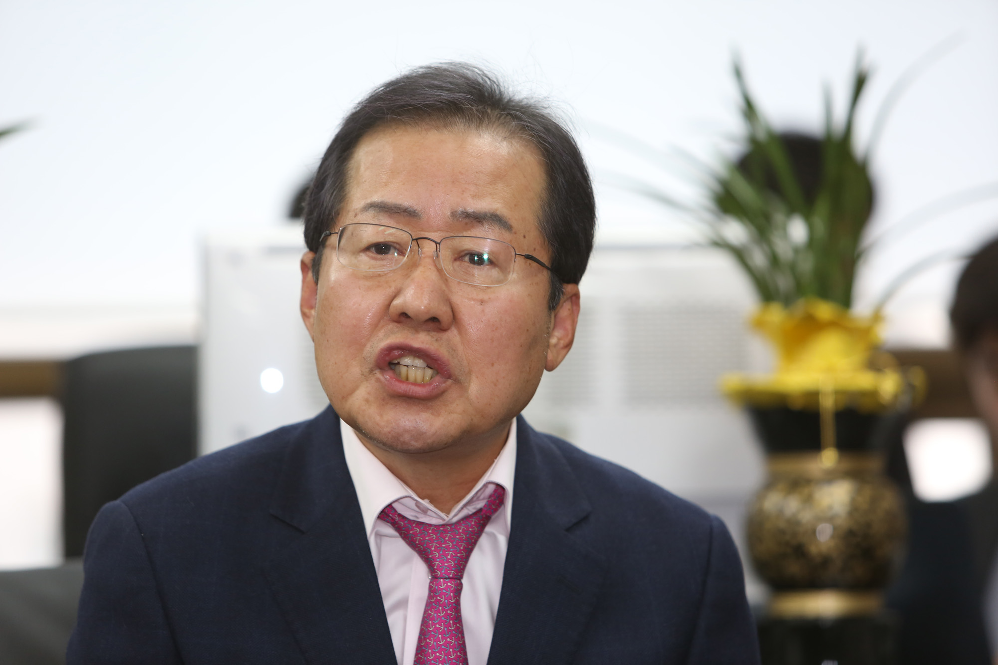 정치;홍준표;성완종리스트;홍준표무죄