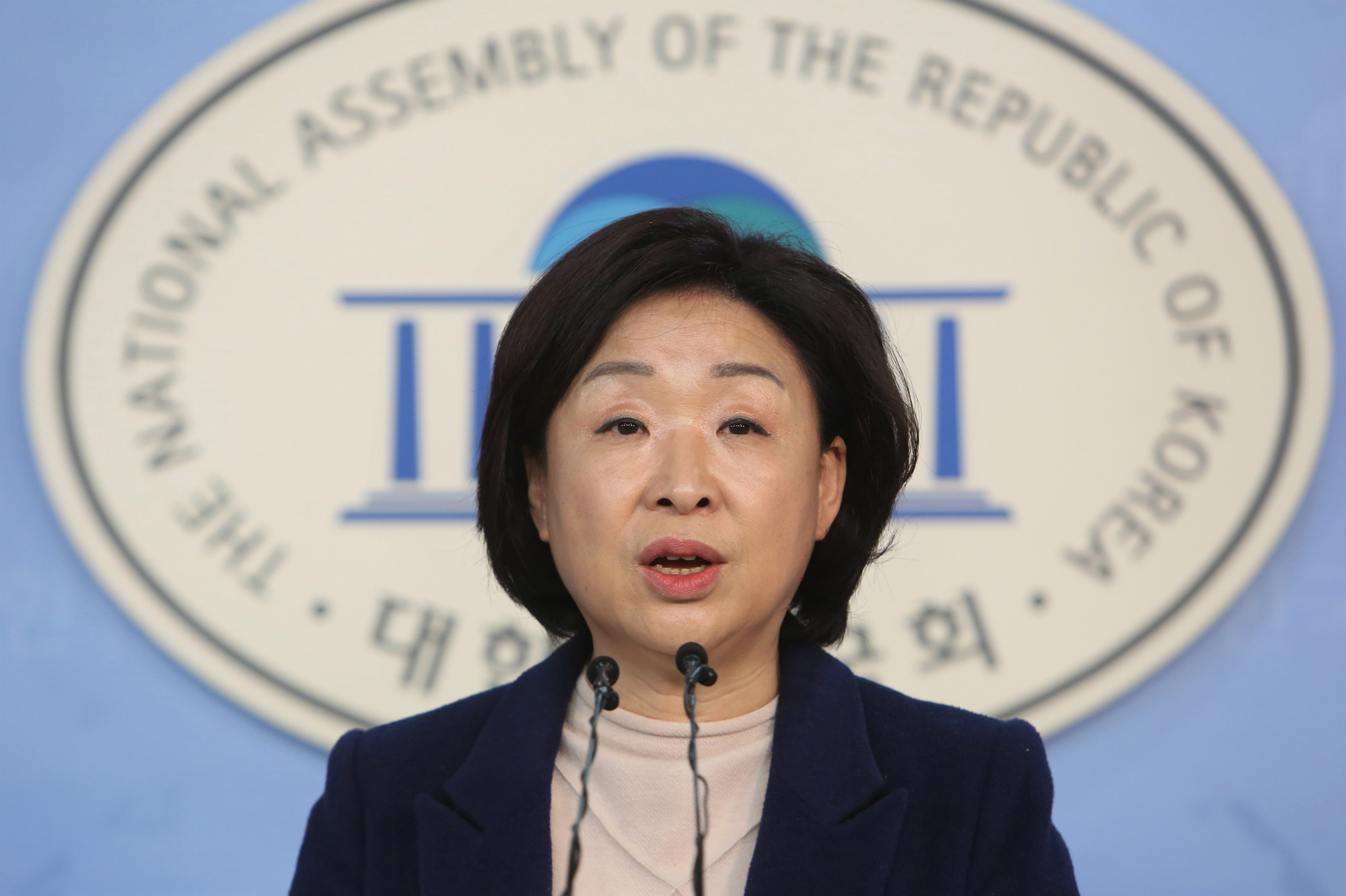 정치;국회;심상정