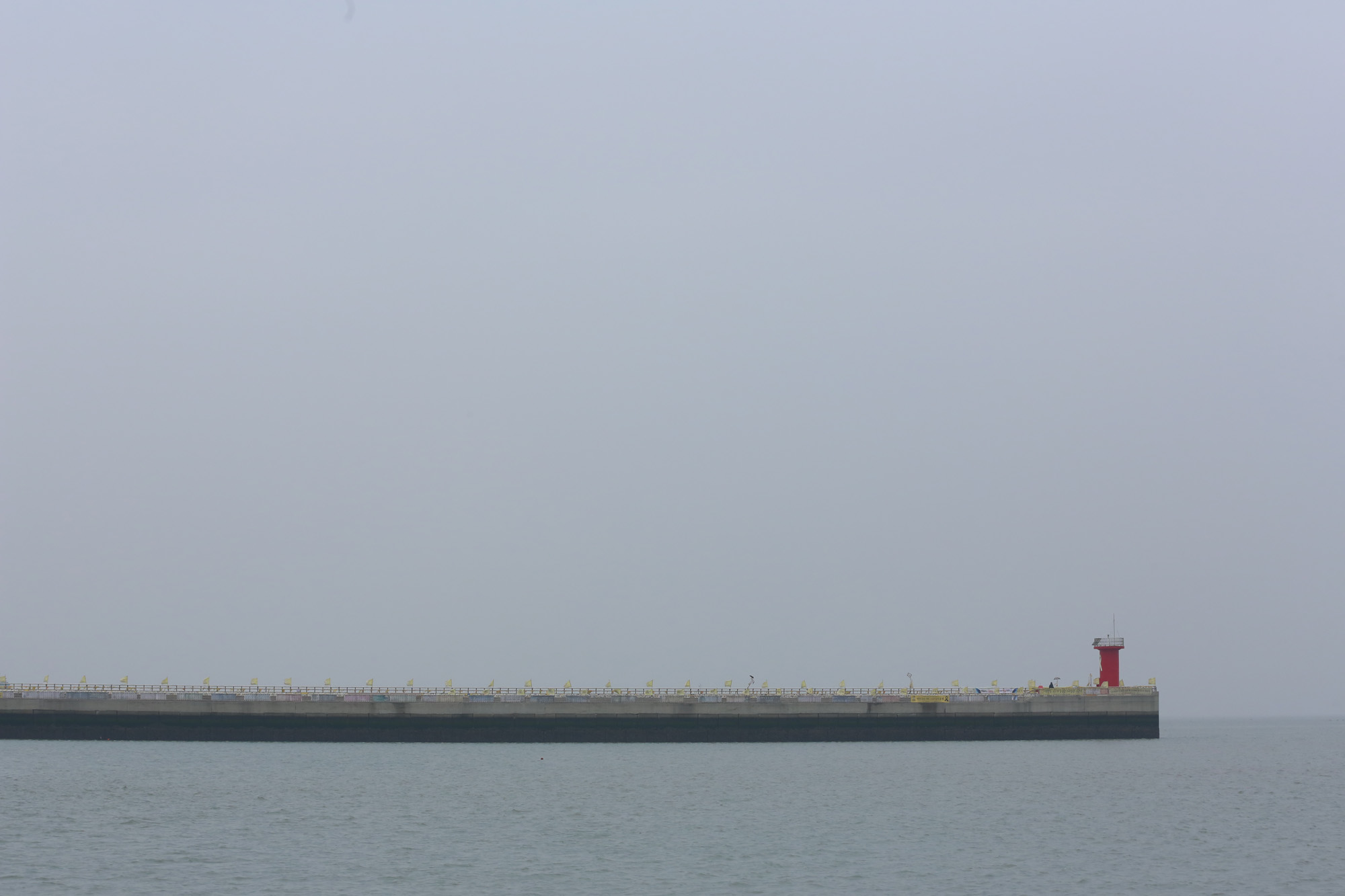 사회;세월호;팽목항;미수습자가족