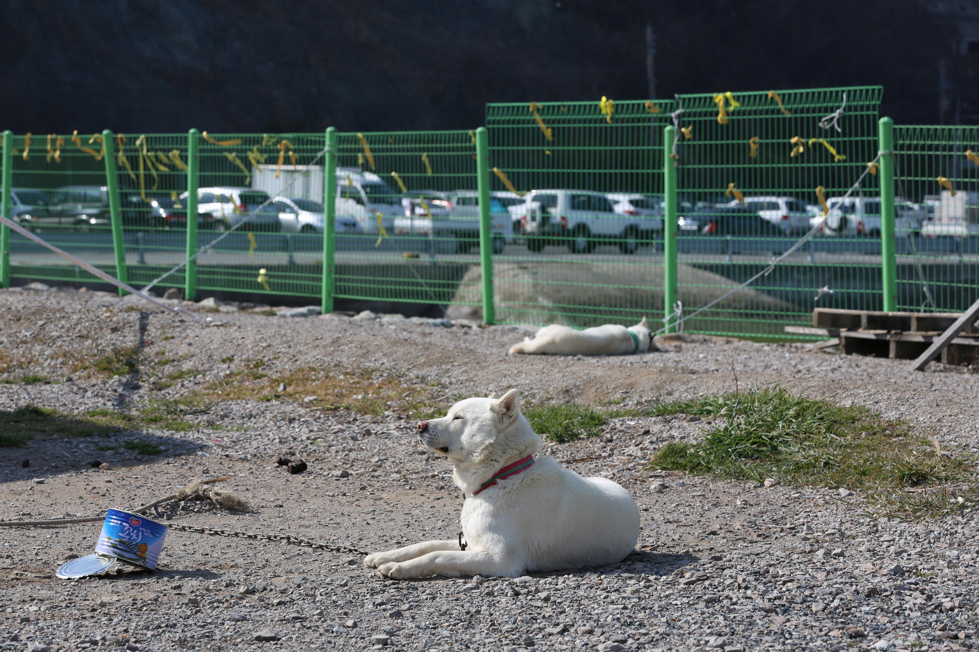 사회;세월호;팽목항;팽이목이