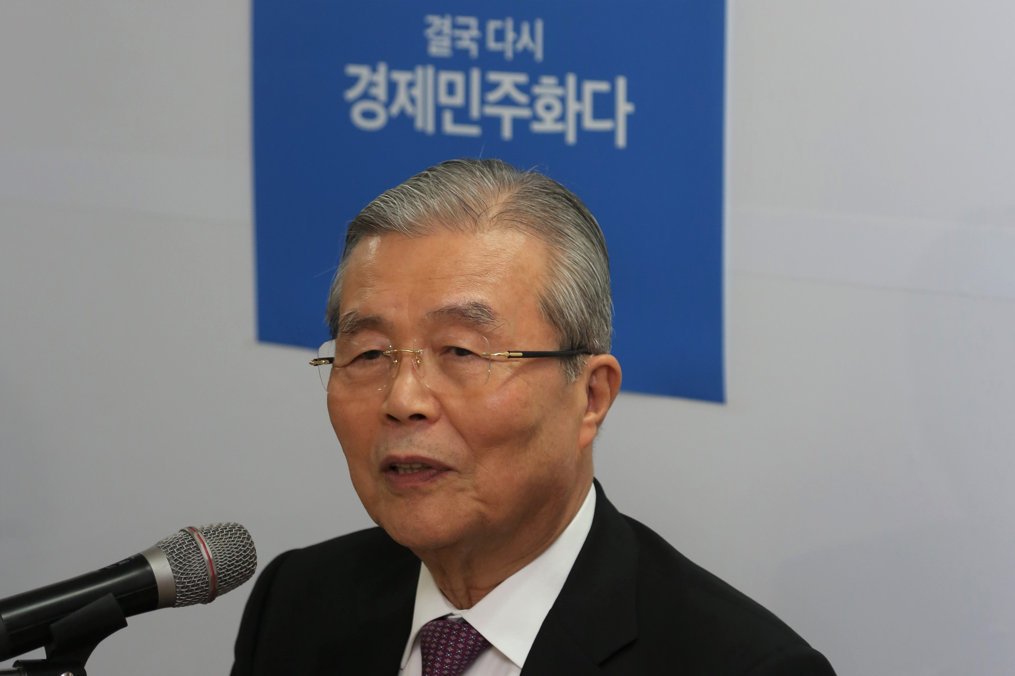정치;김종인;경제민주화