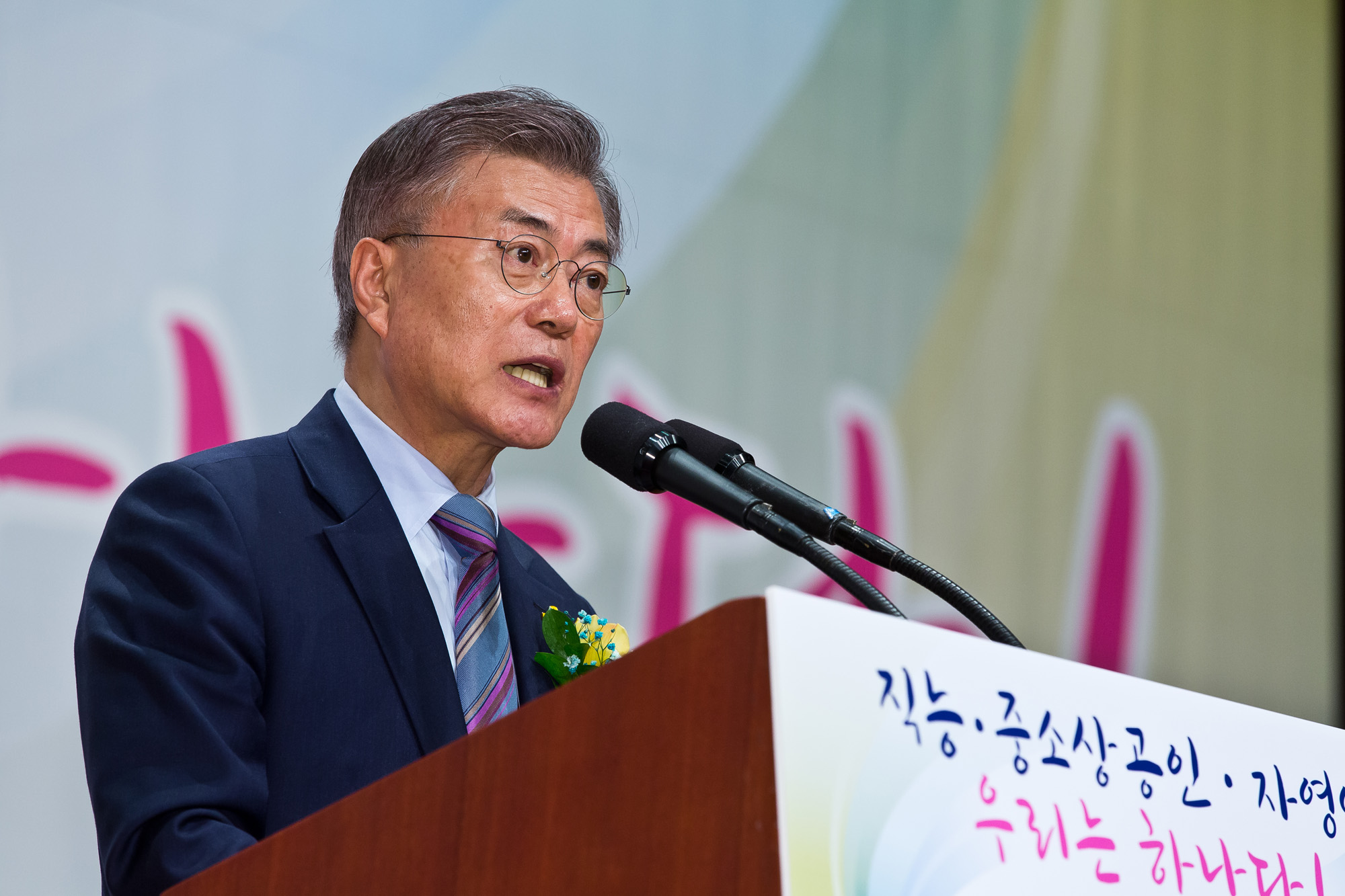 정치/대선/대통령선거/제19대대선/대선후보/문재