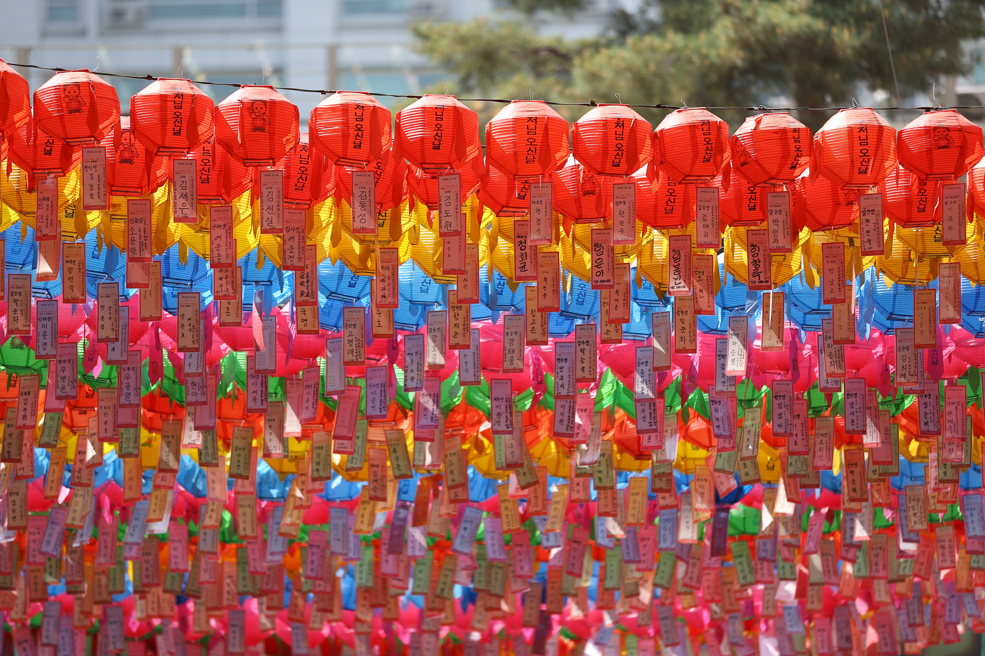 정치;대선후보들;문재인;안철수;심상정;홍준표;오선혜