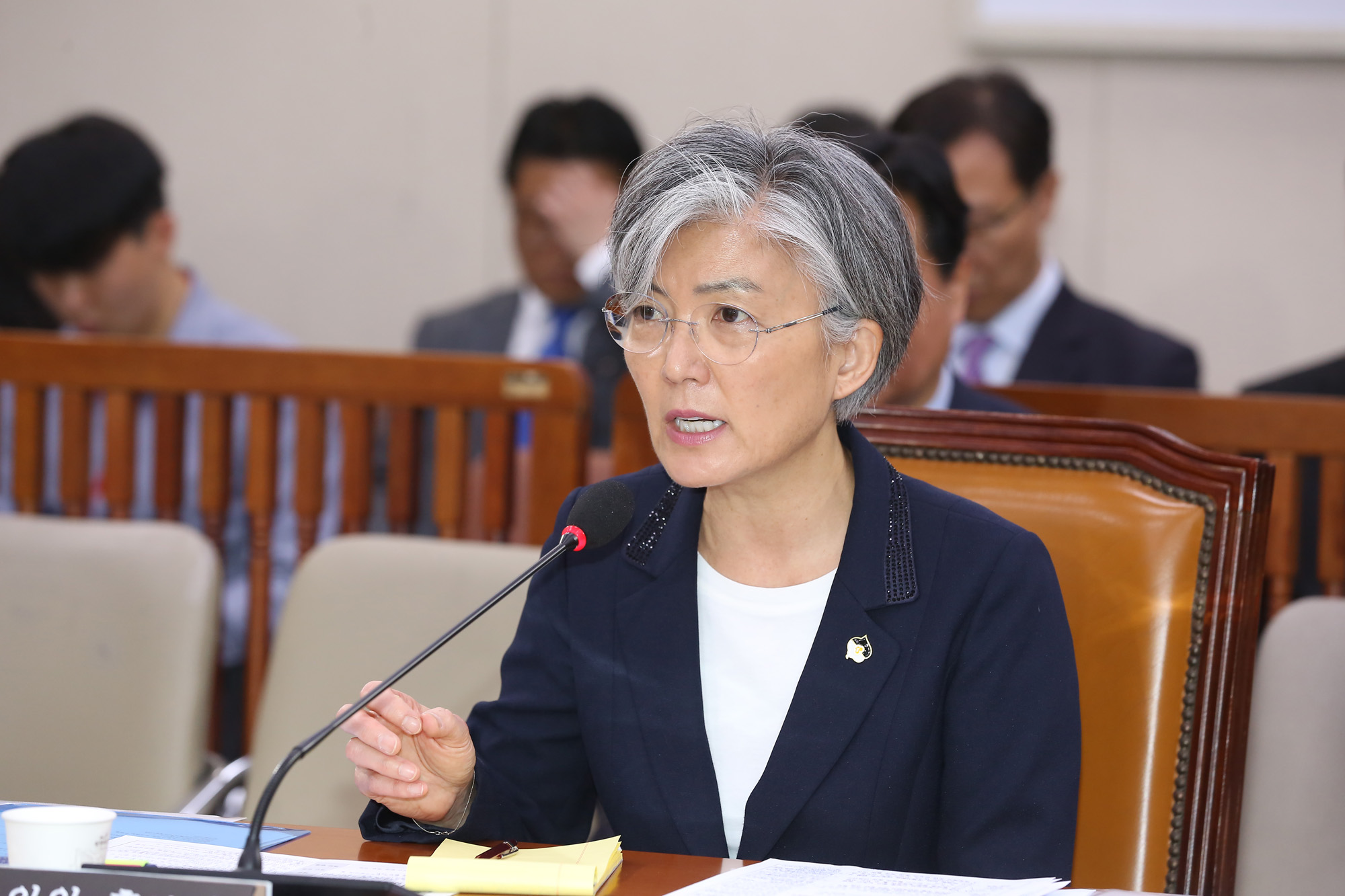 정치;국회;인사청문회;강경화;외교부장관