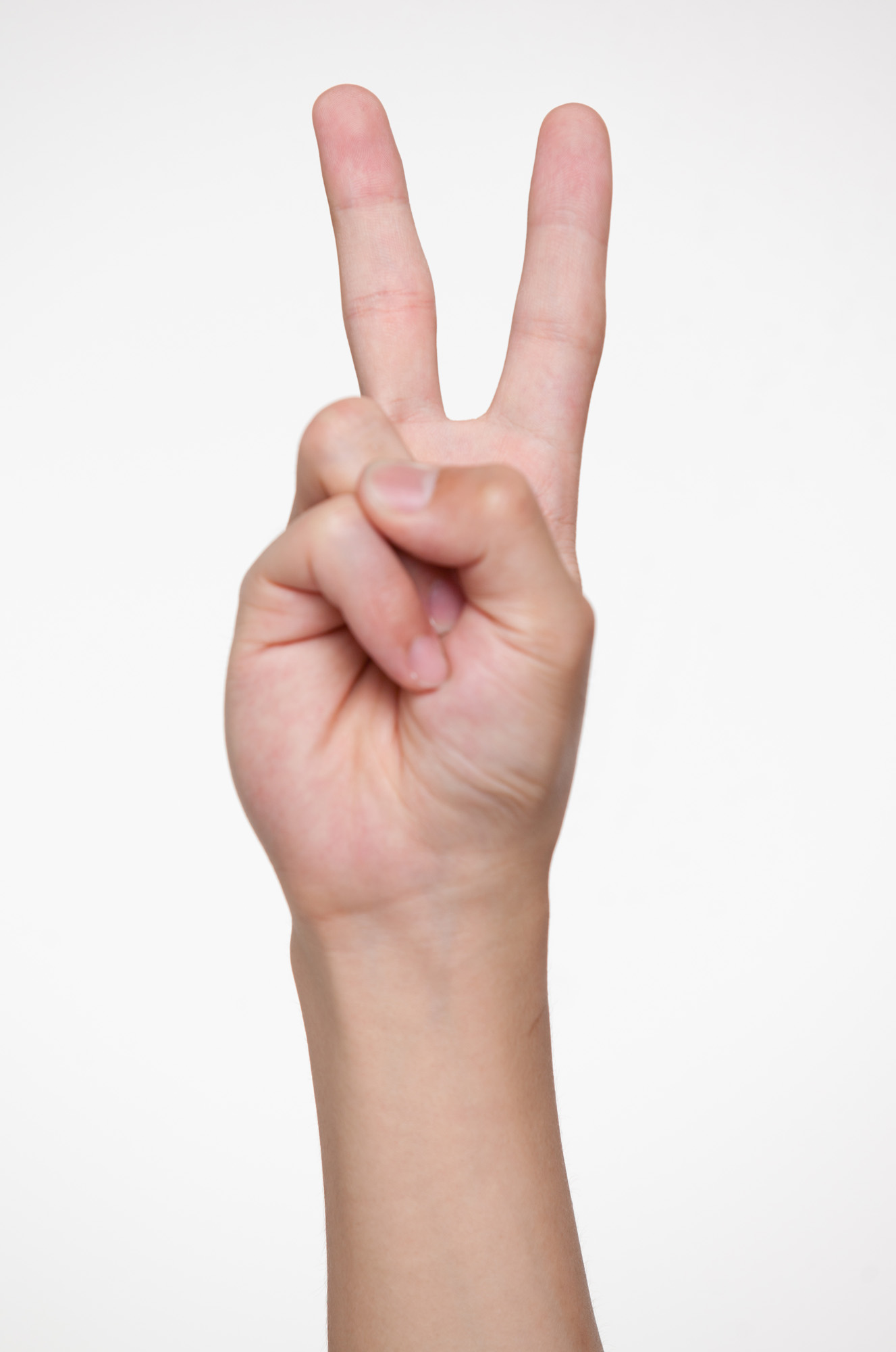 손;손가락;손모양;수신호