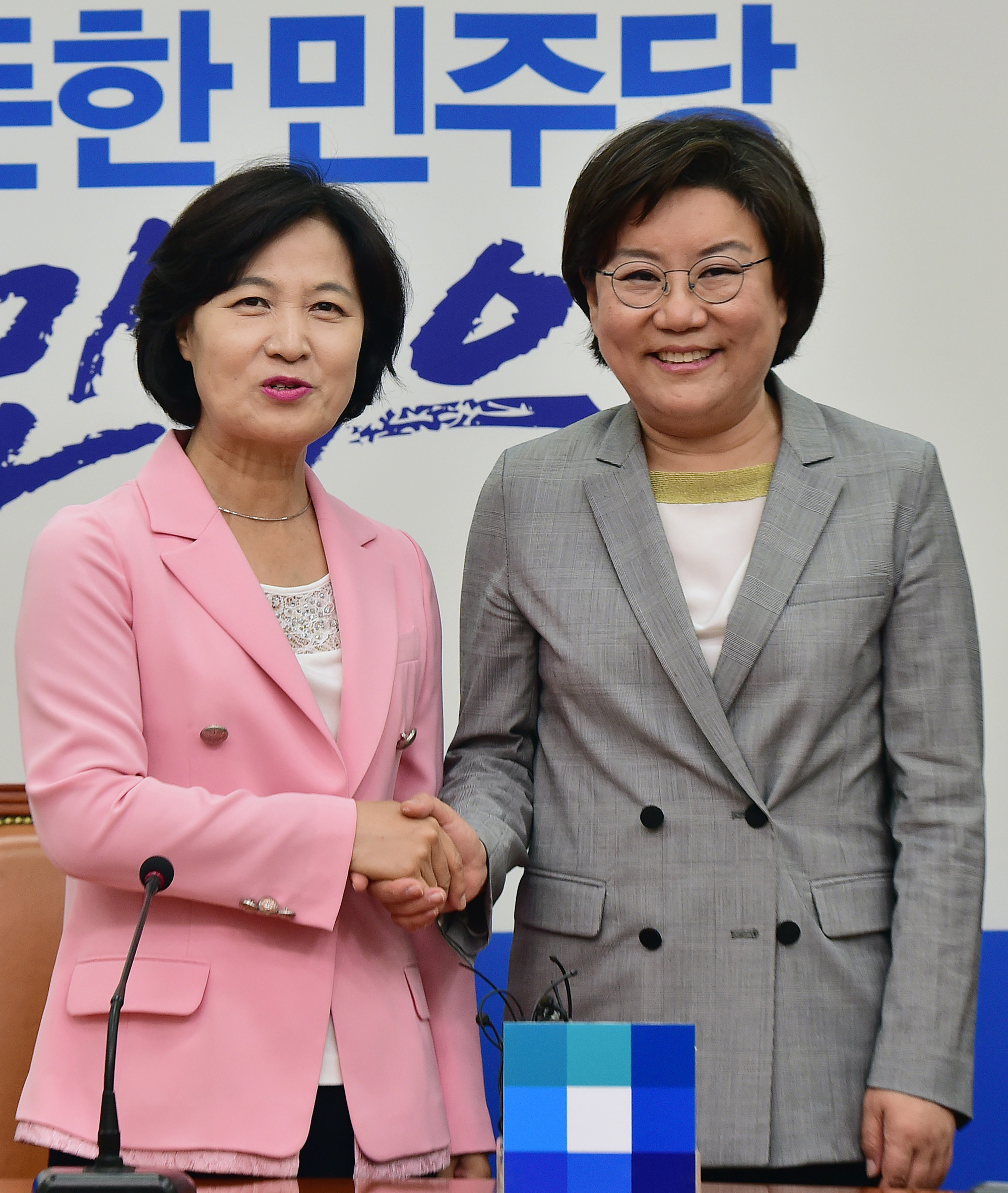 정치;국회;이혜훈;추미애